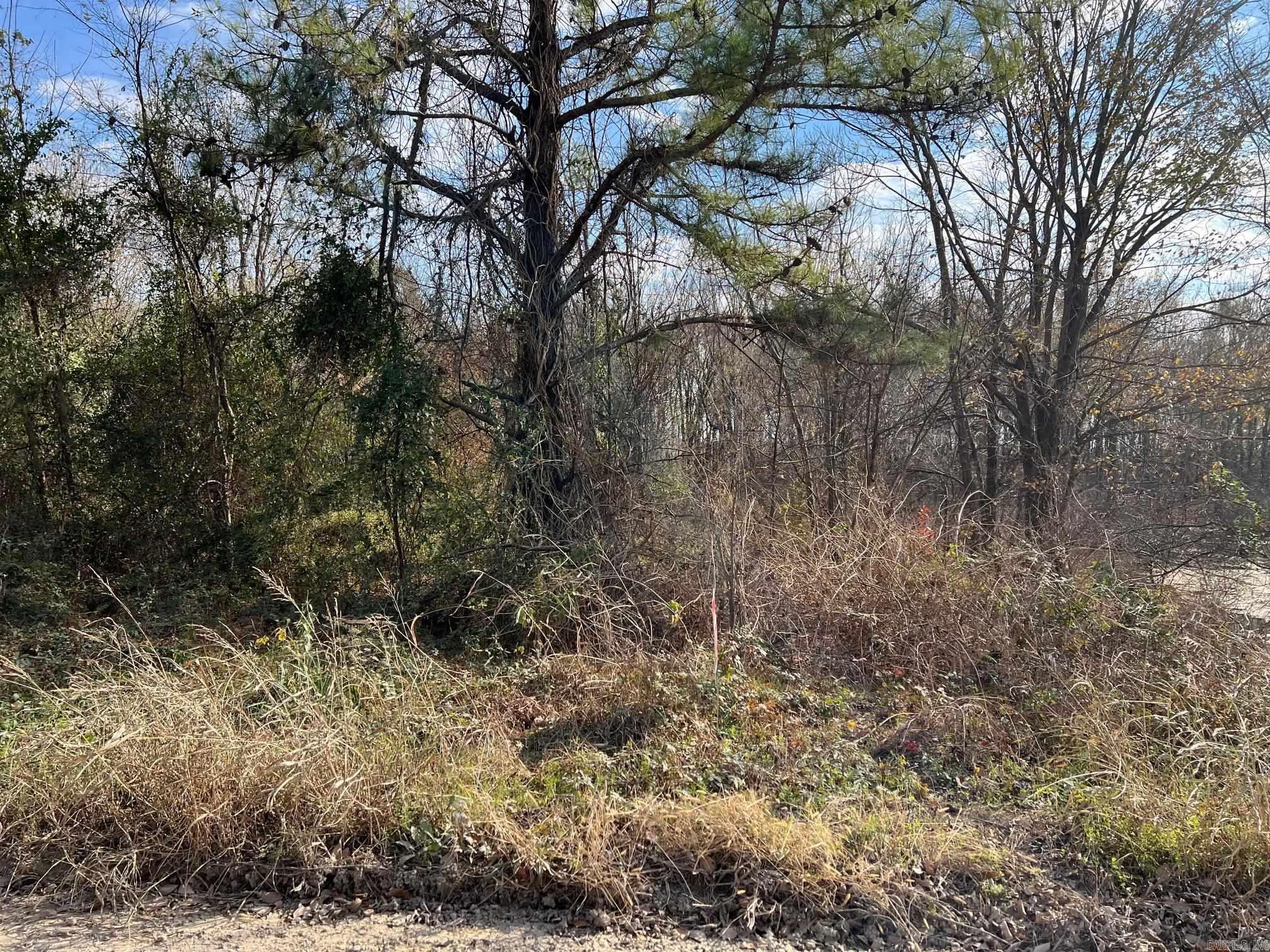 00 County Road 305 Property Photo 2