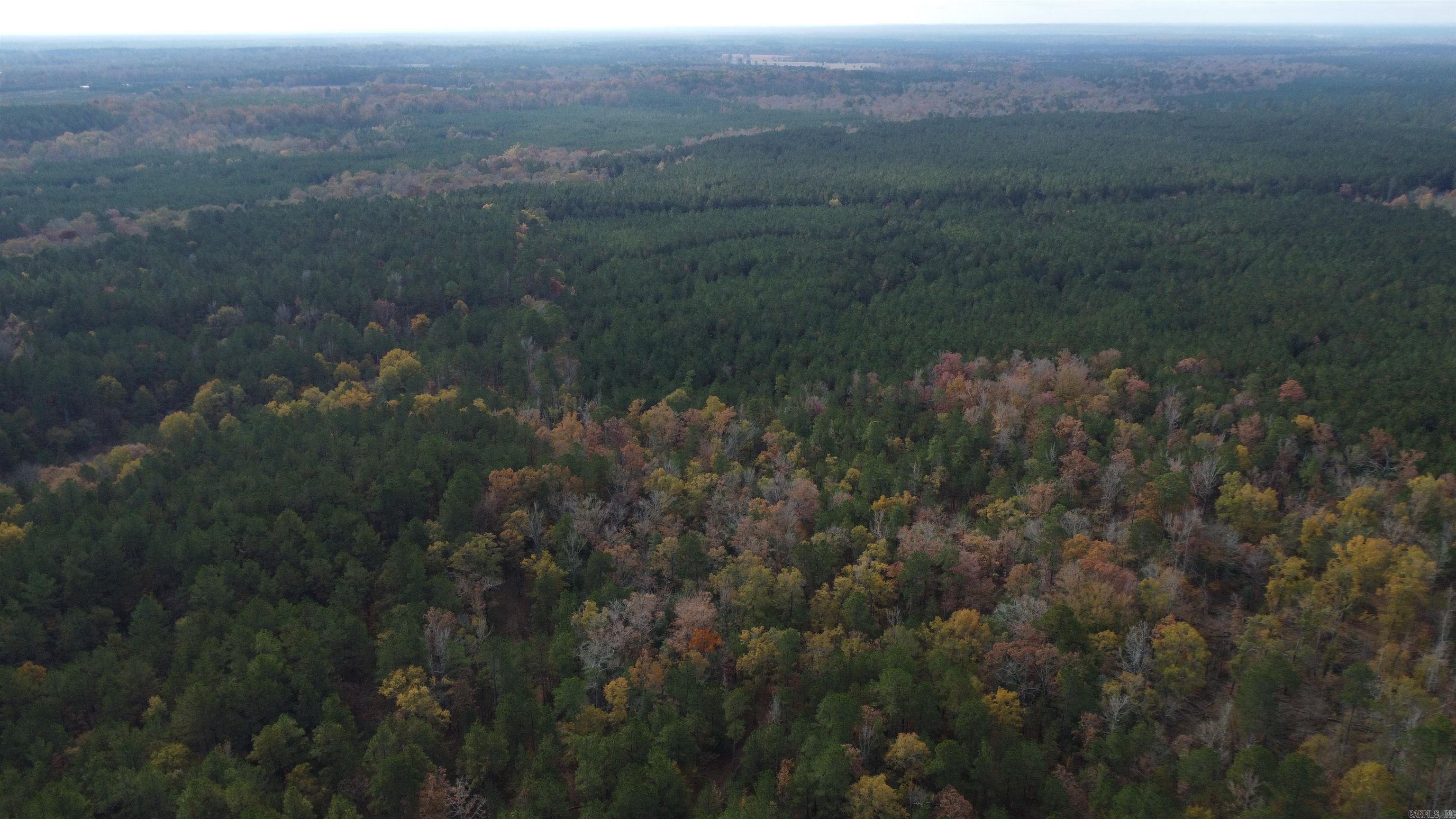 000 Hwy 51, Lot#WP002