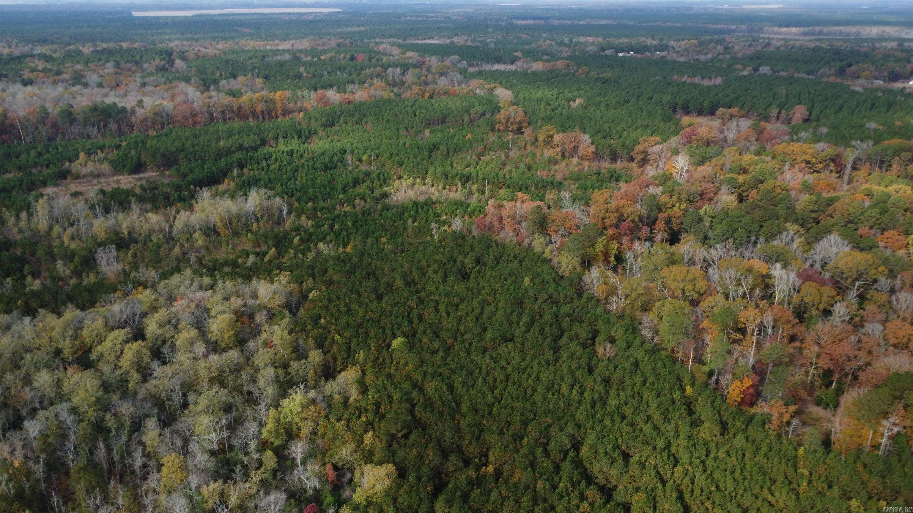 000 Hwy 51, Lot#wp002 Property Photo 8