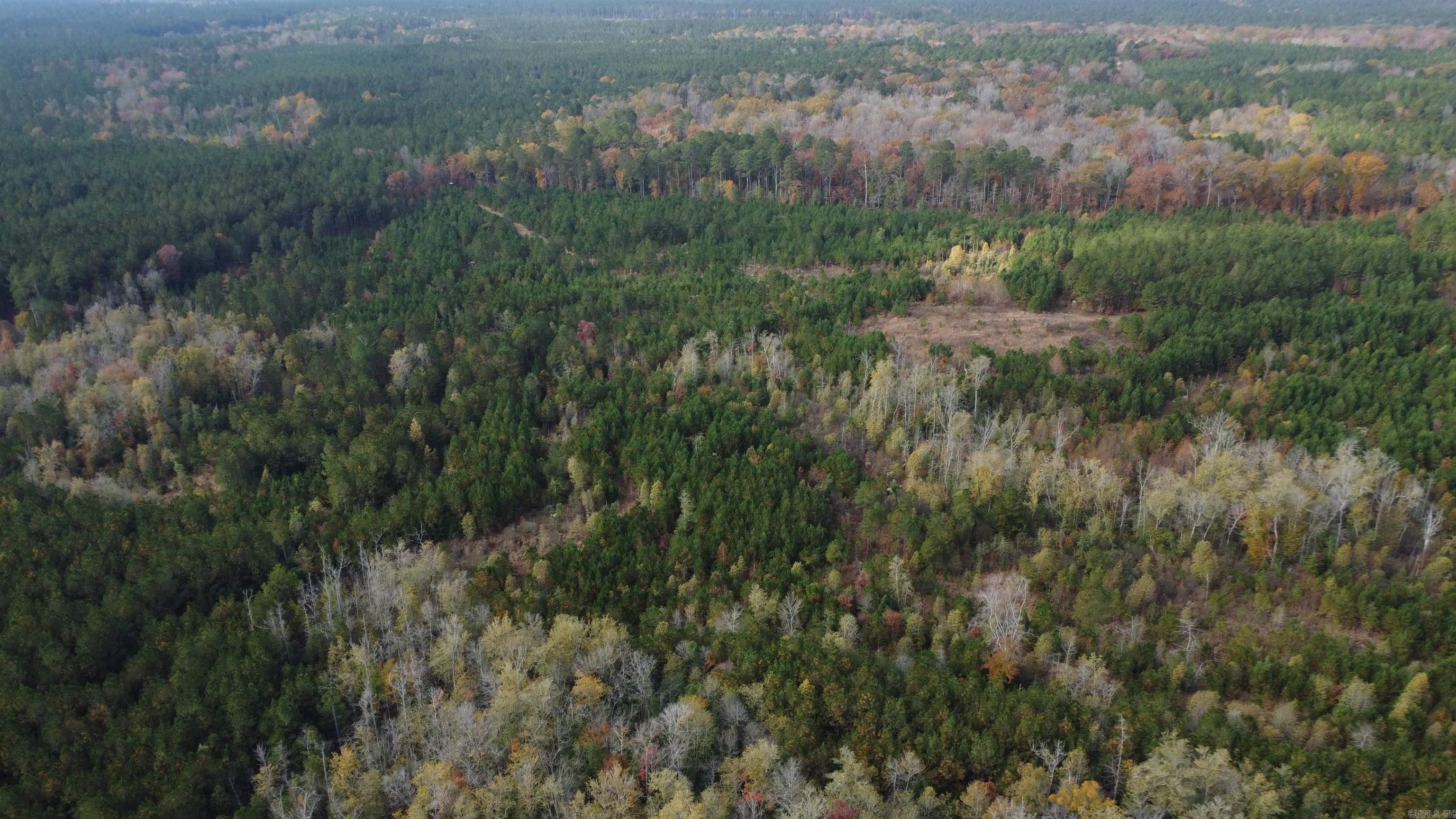 000 Hwy 51, Lot#wp002 Property Photo 10
