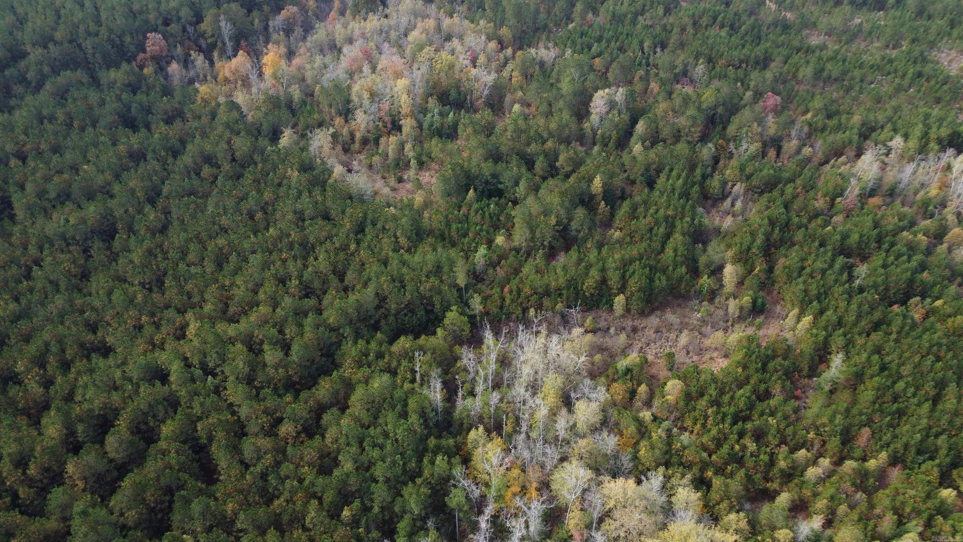 000 Hwy 51, Lot#wp002 Property Photo 11
