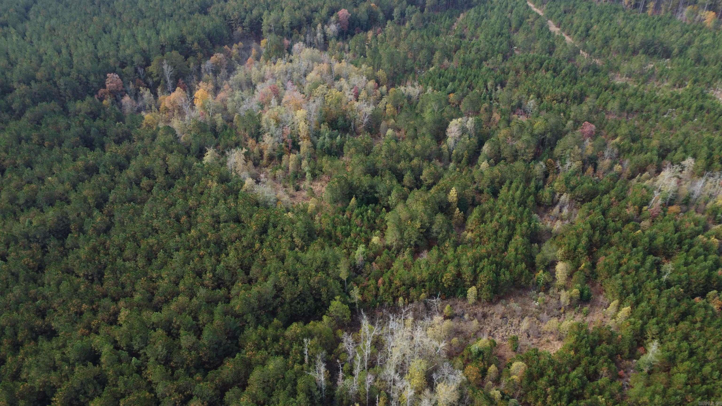 000 Hwy 51, Lot#wp002 Property Photo 12