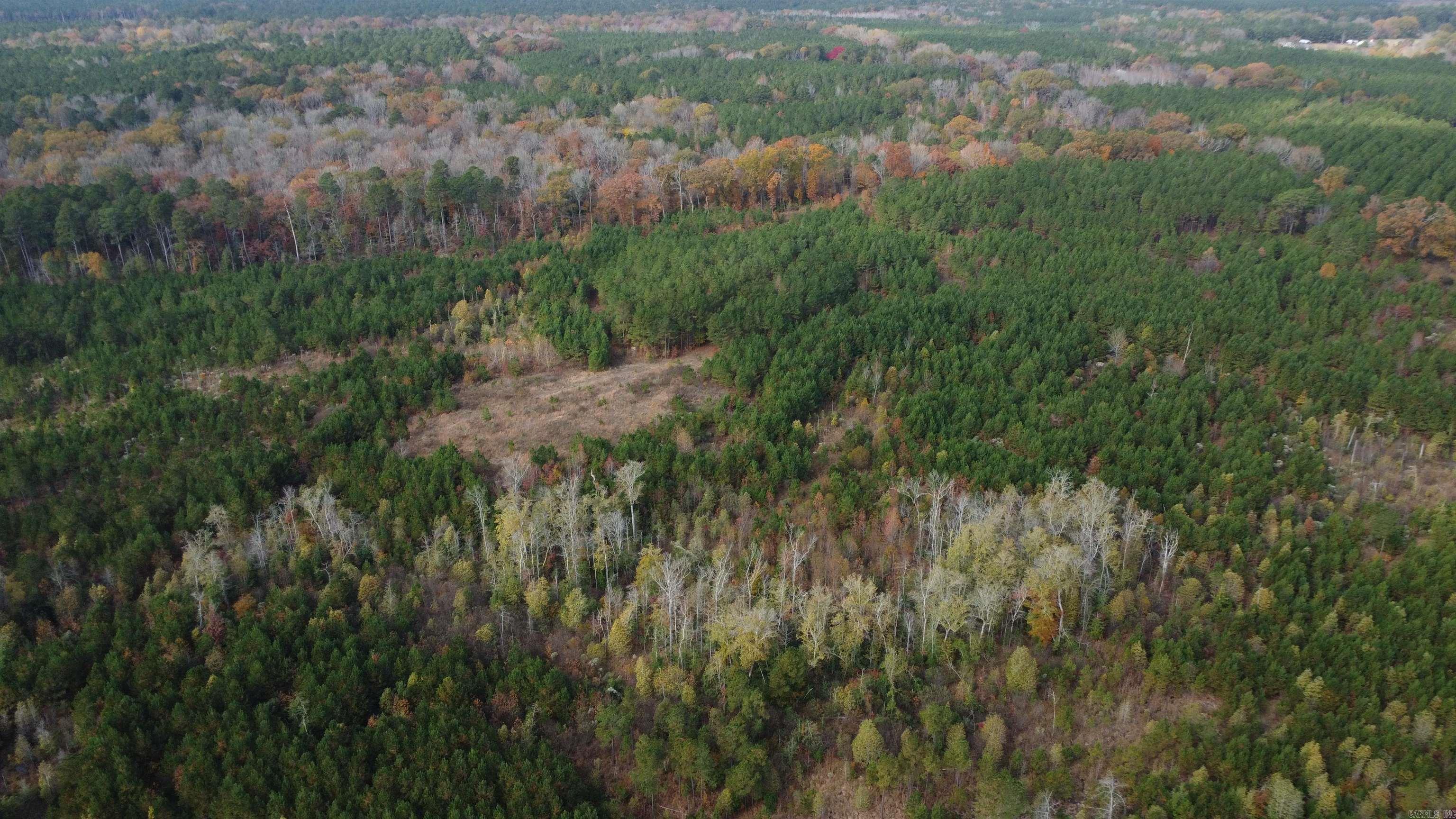000 Hwy 51, Lot#wp002 Property Photo 13