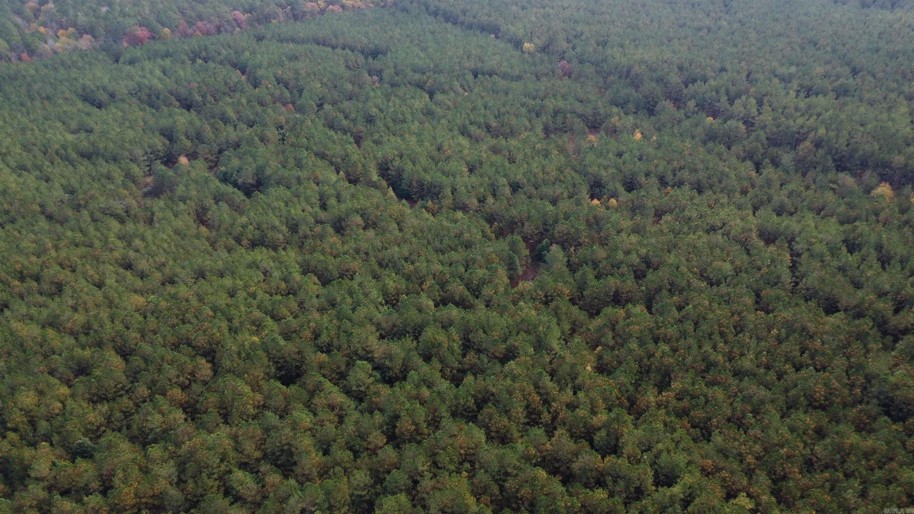 000 Hwy 51, Lot#wp002 Property Photo 18