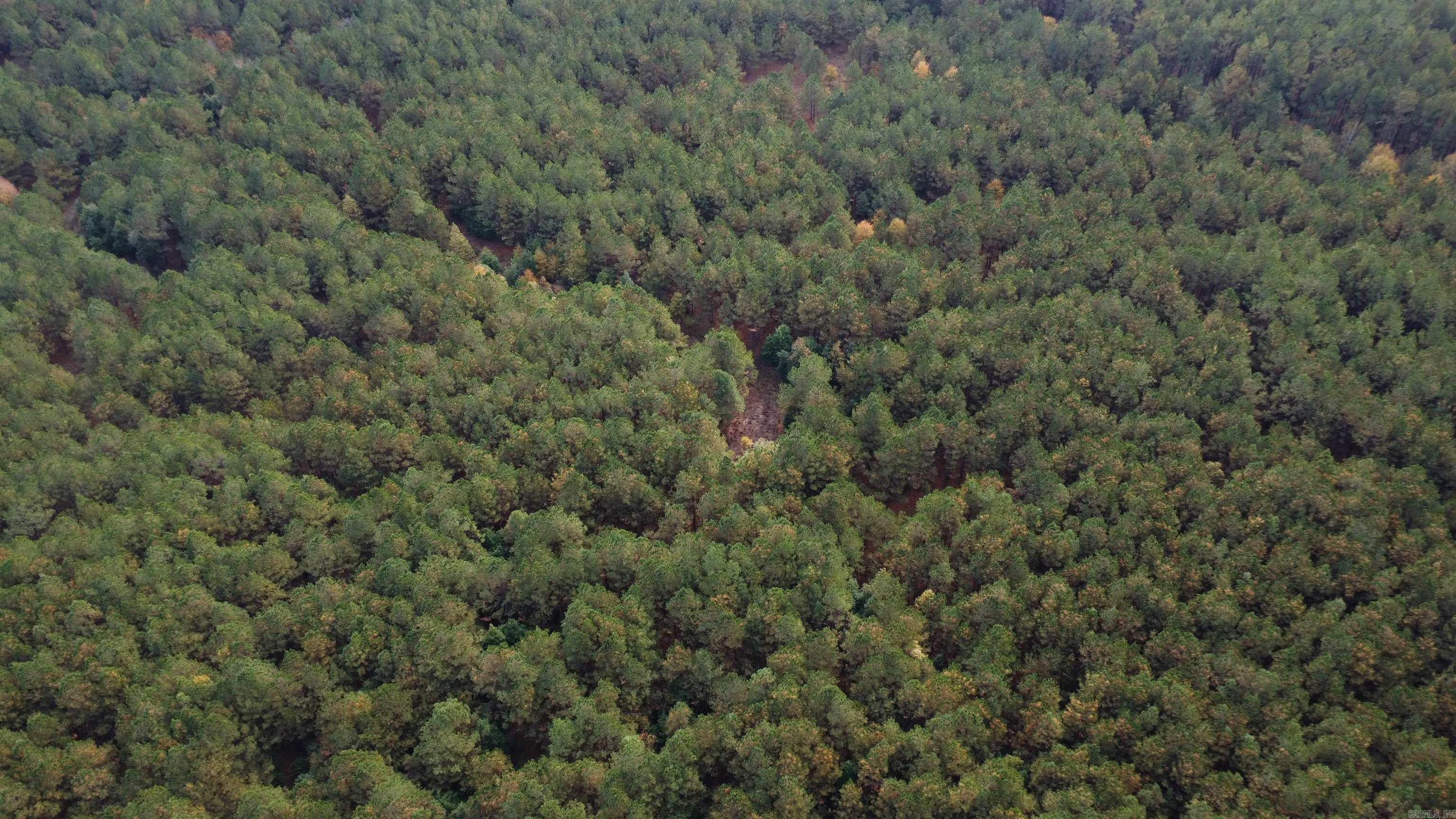 000 Hwy 51, Lot#wp002 Property Photo 19