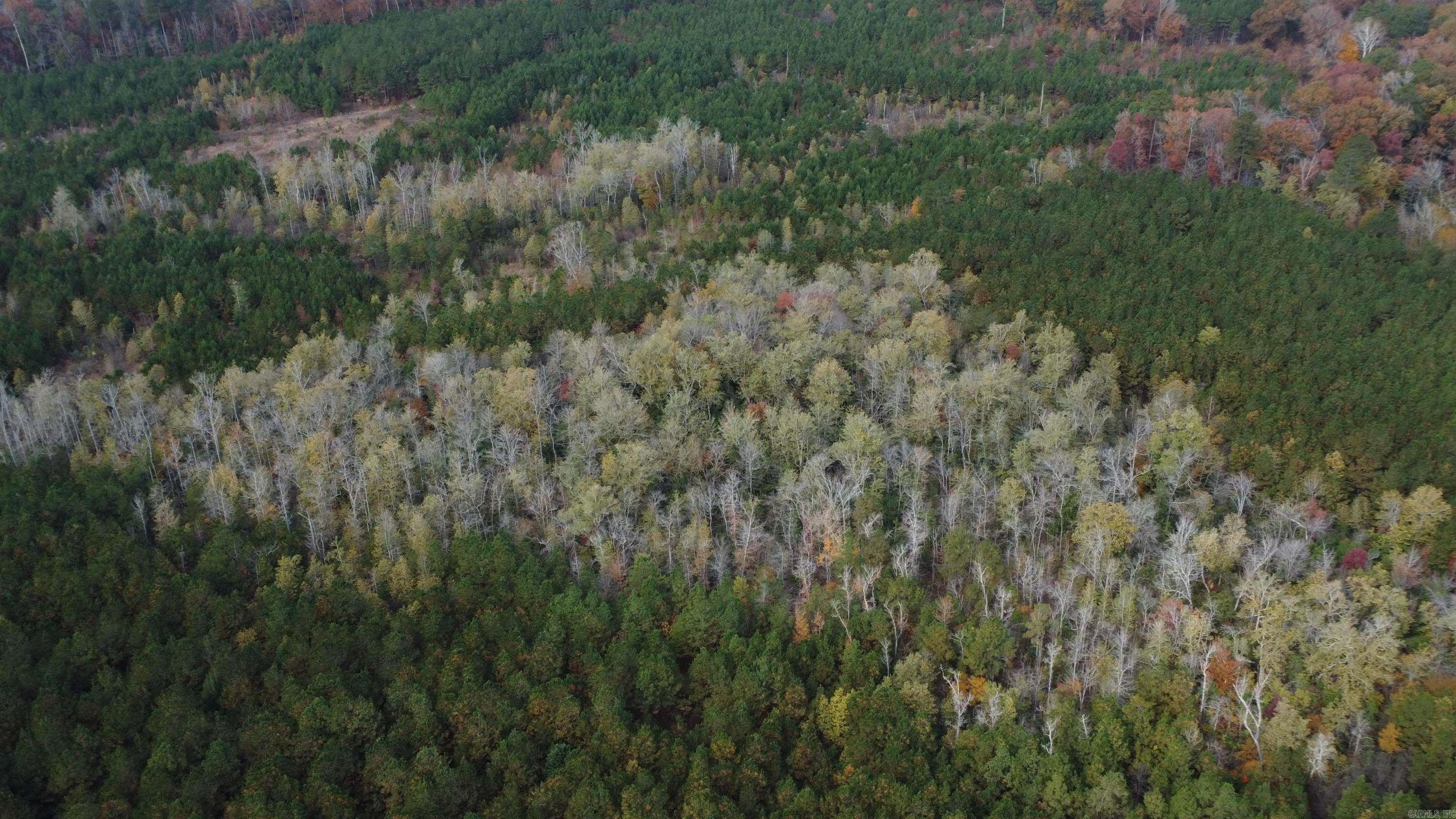 000 Hwy 51, Lot#wp002 Property Photo 32