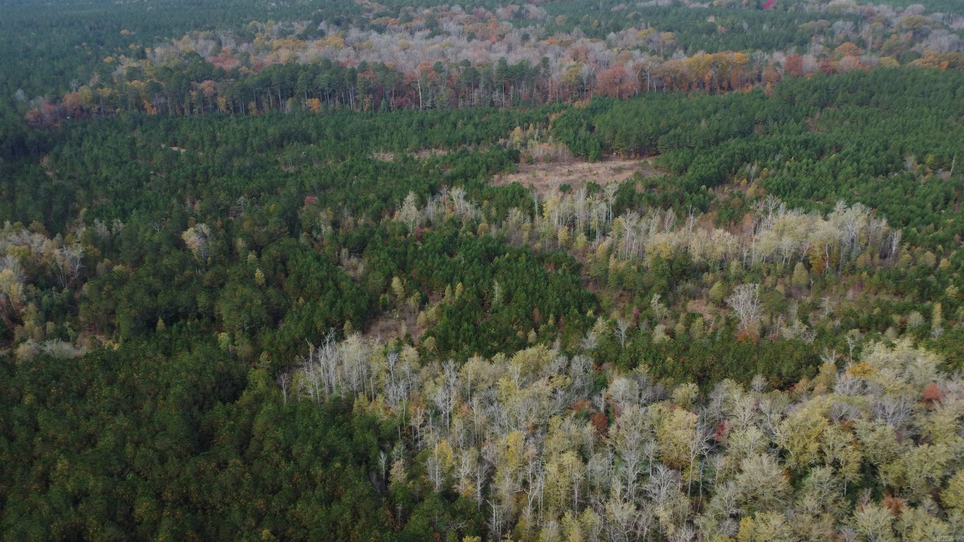 000 Hwy 51, Lot#wp002 Property Photo 33