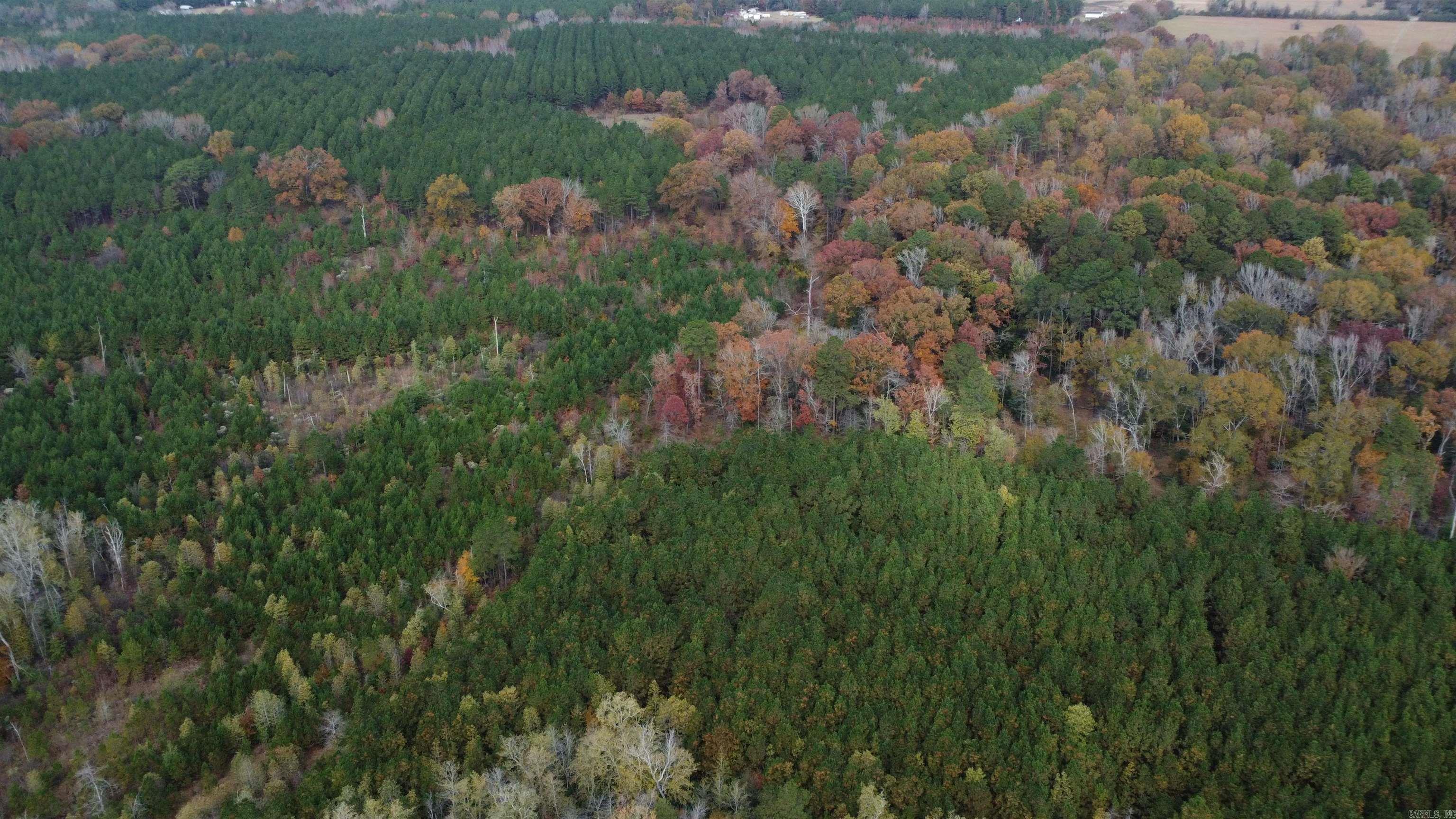 000 Hwy 51, Lot#wp002 Property Photo 36