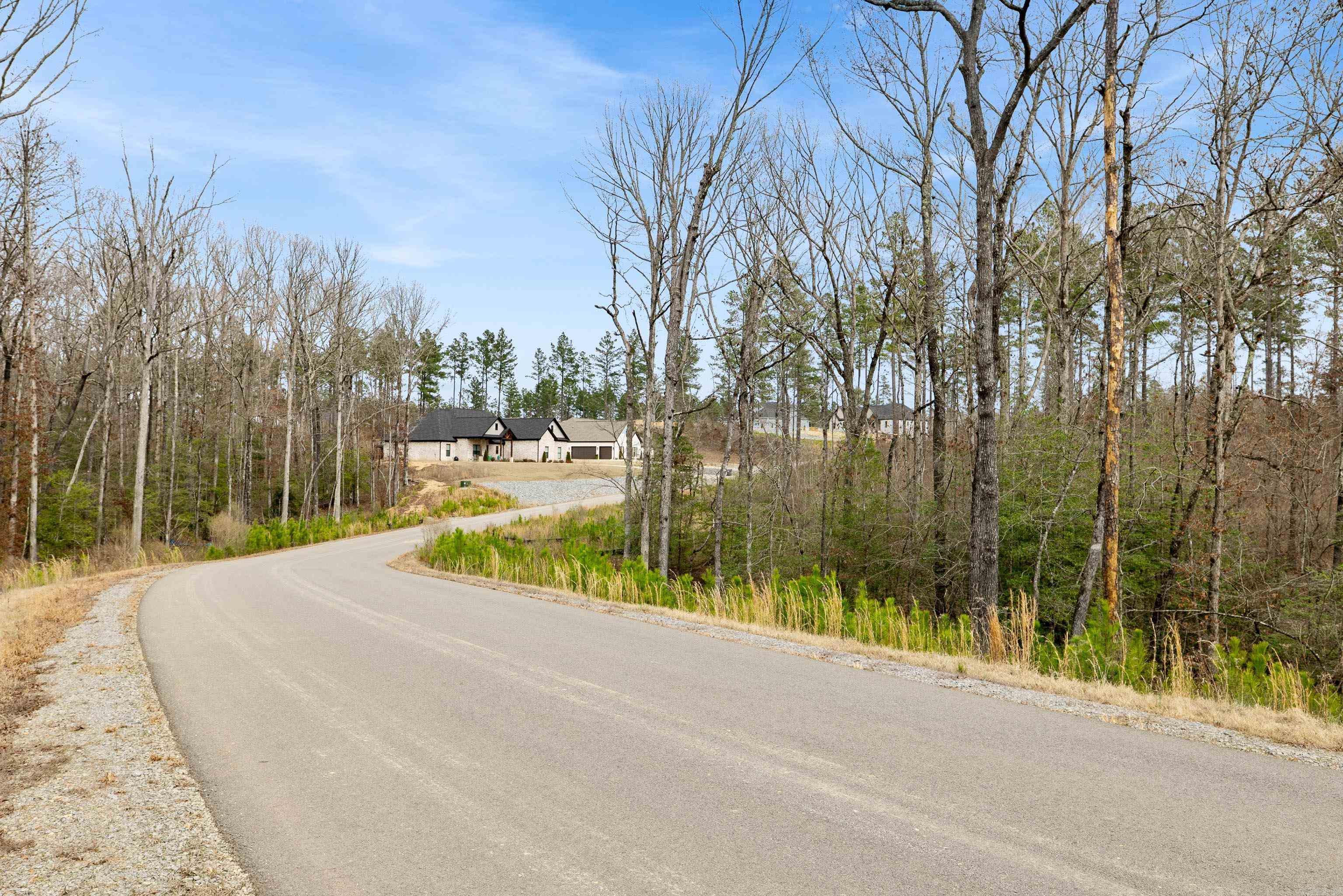 2008 Canyon Creek Parkway Property Photo 21
