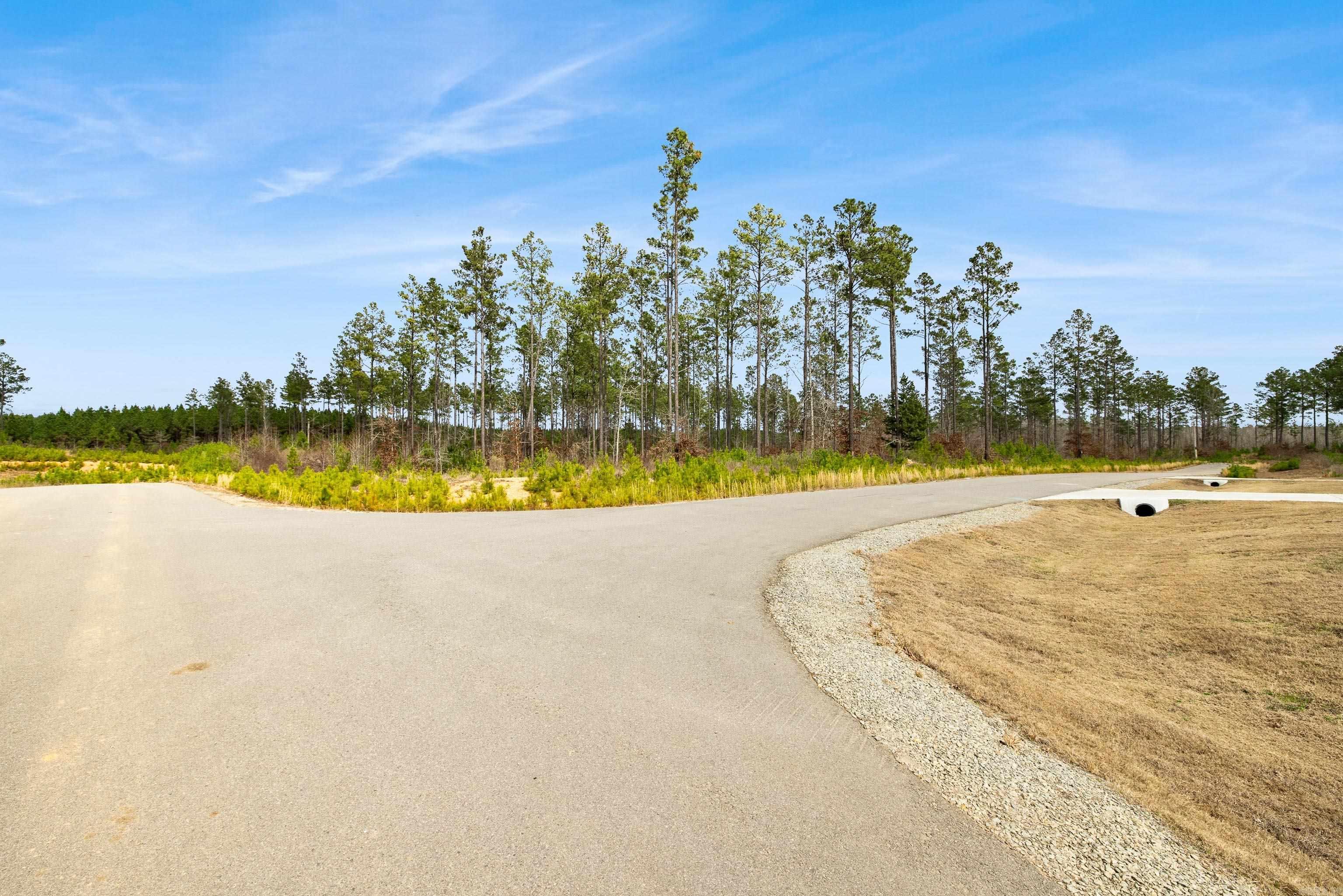 2008 Canyon Creek Parkway Property Photo 28
