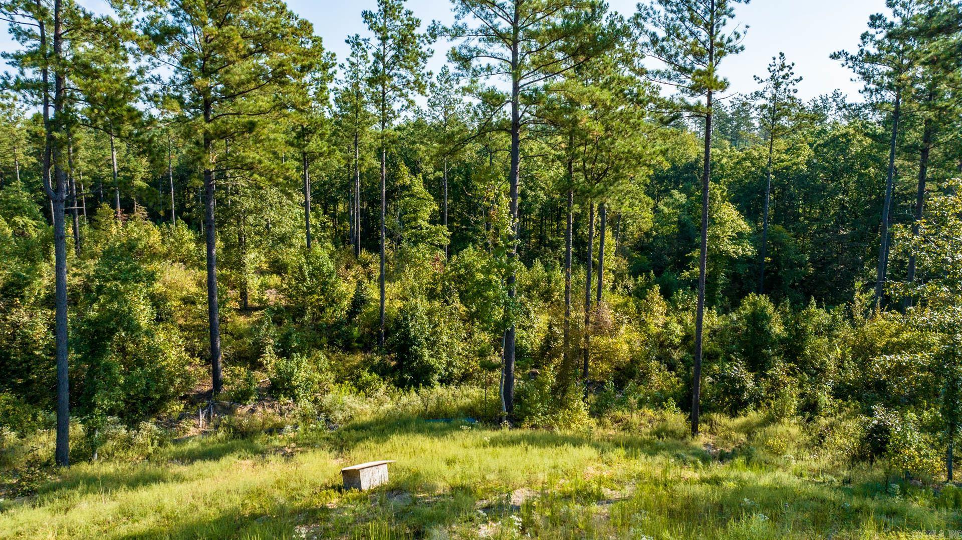 2057 Canyon Creek Parkway Property Photo 41