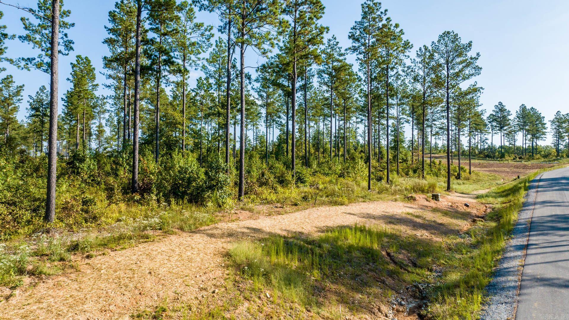 1016 Granite Cove Property Photo 42