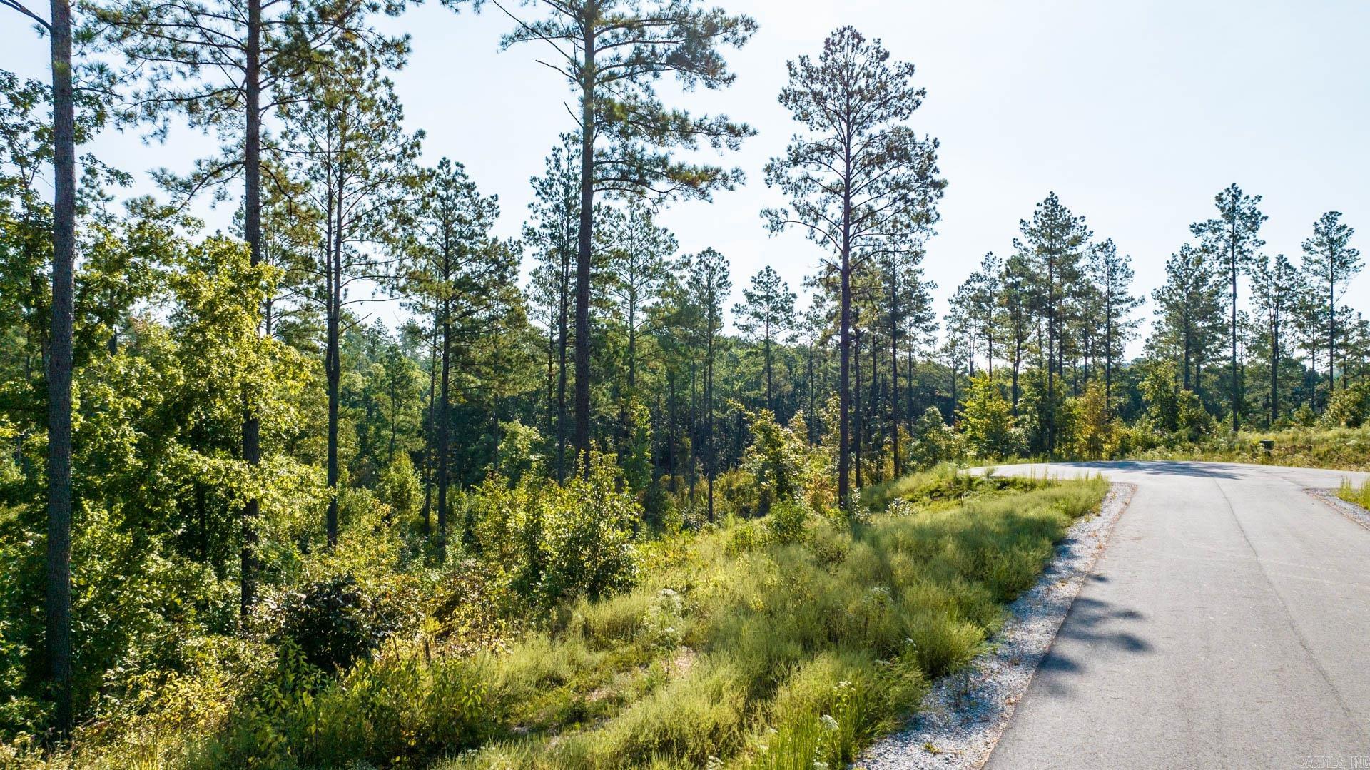 1016 Granite Cove Property Photo 49