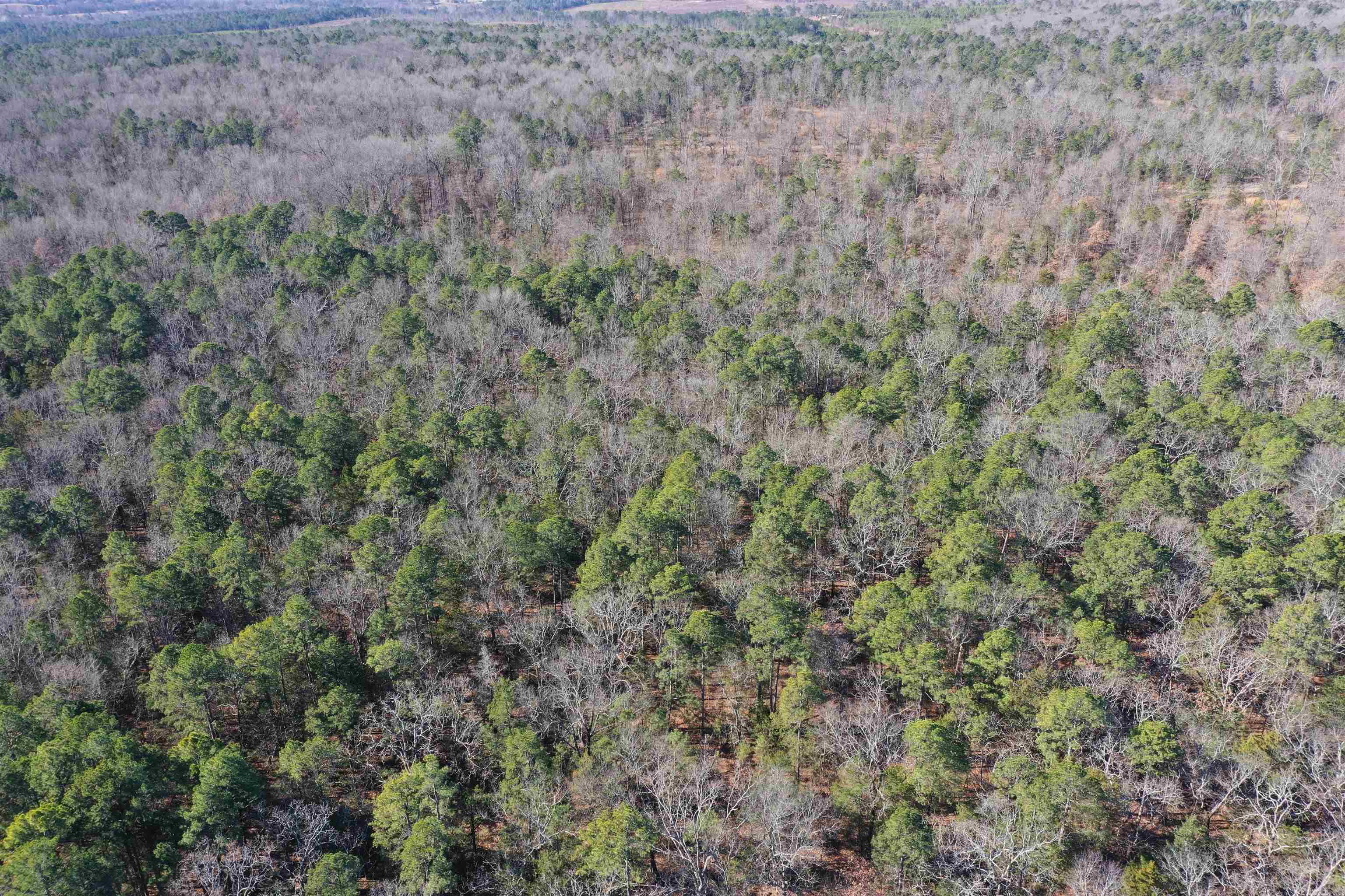 0000 Hwy 22 Property Photo 6