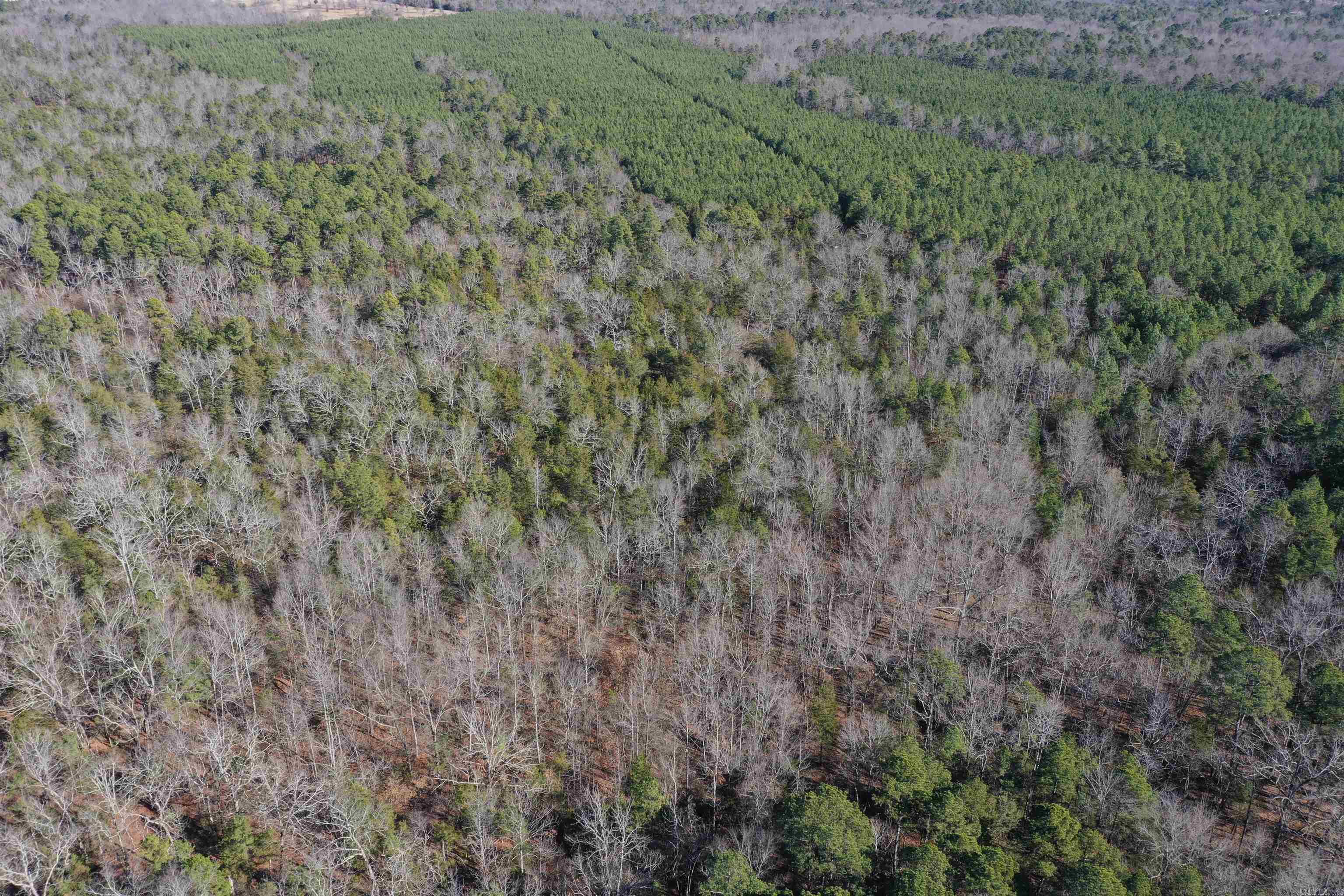 0000 Hwy 22 Property Photo 11