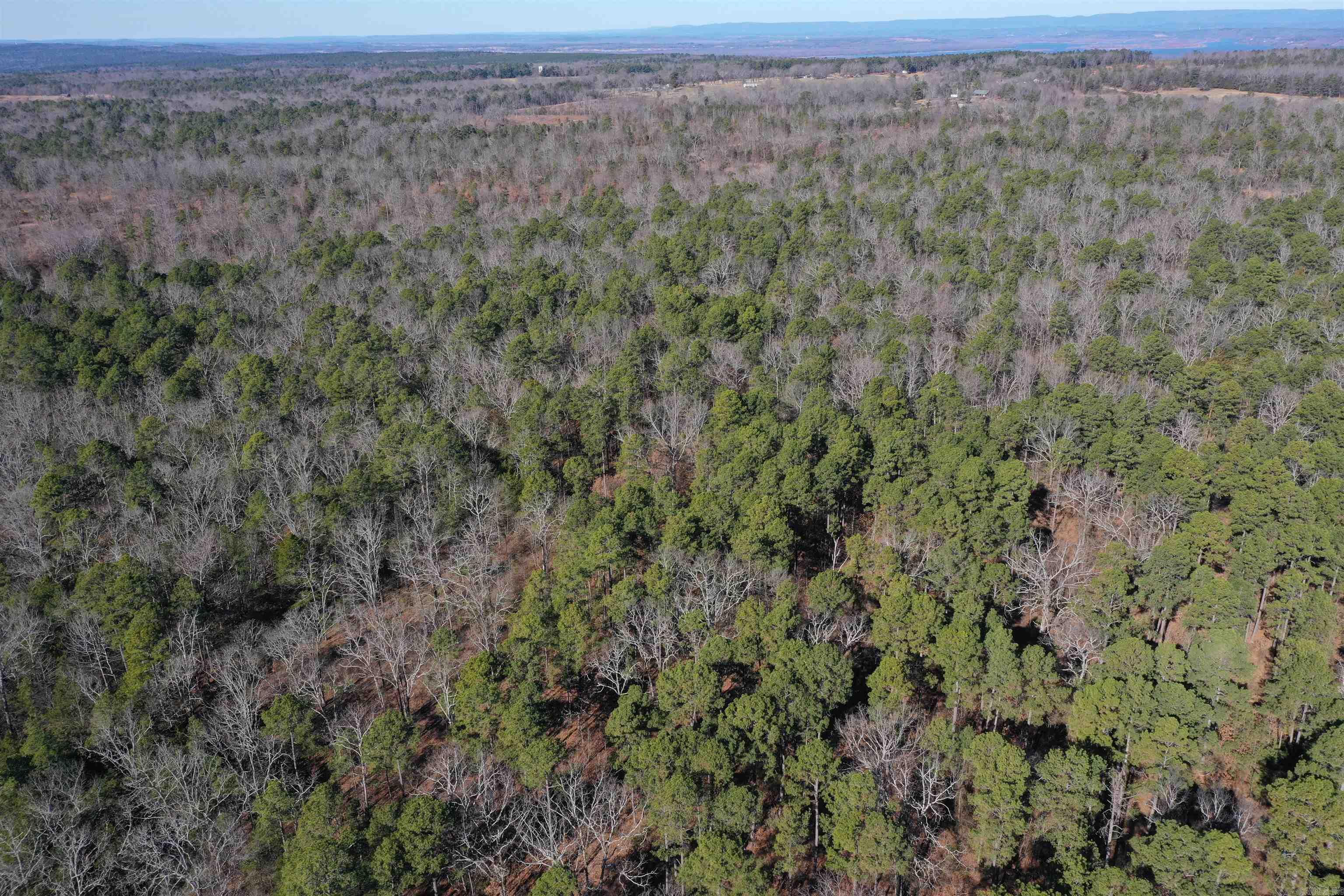 0000 Hwy 22 Property Photo 12