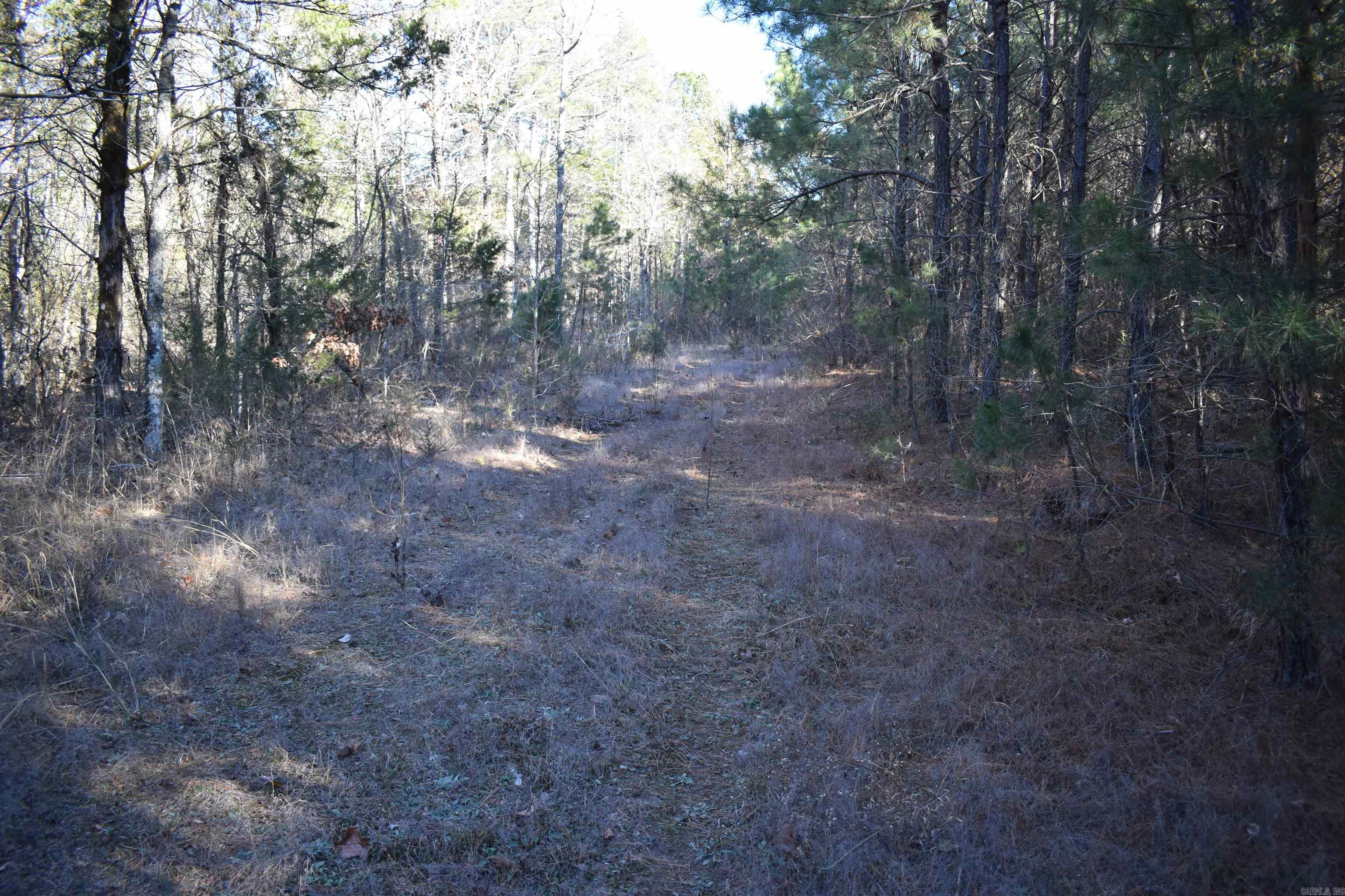 0000 Hwy 22 Property Photo 14