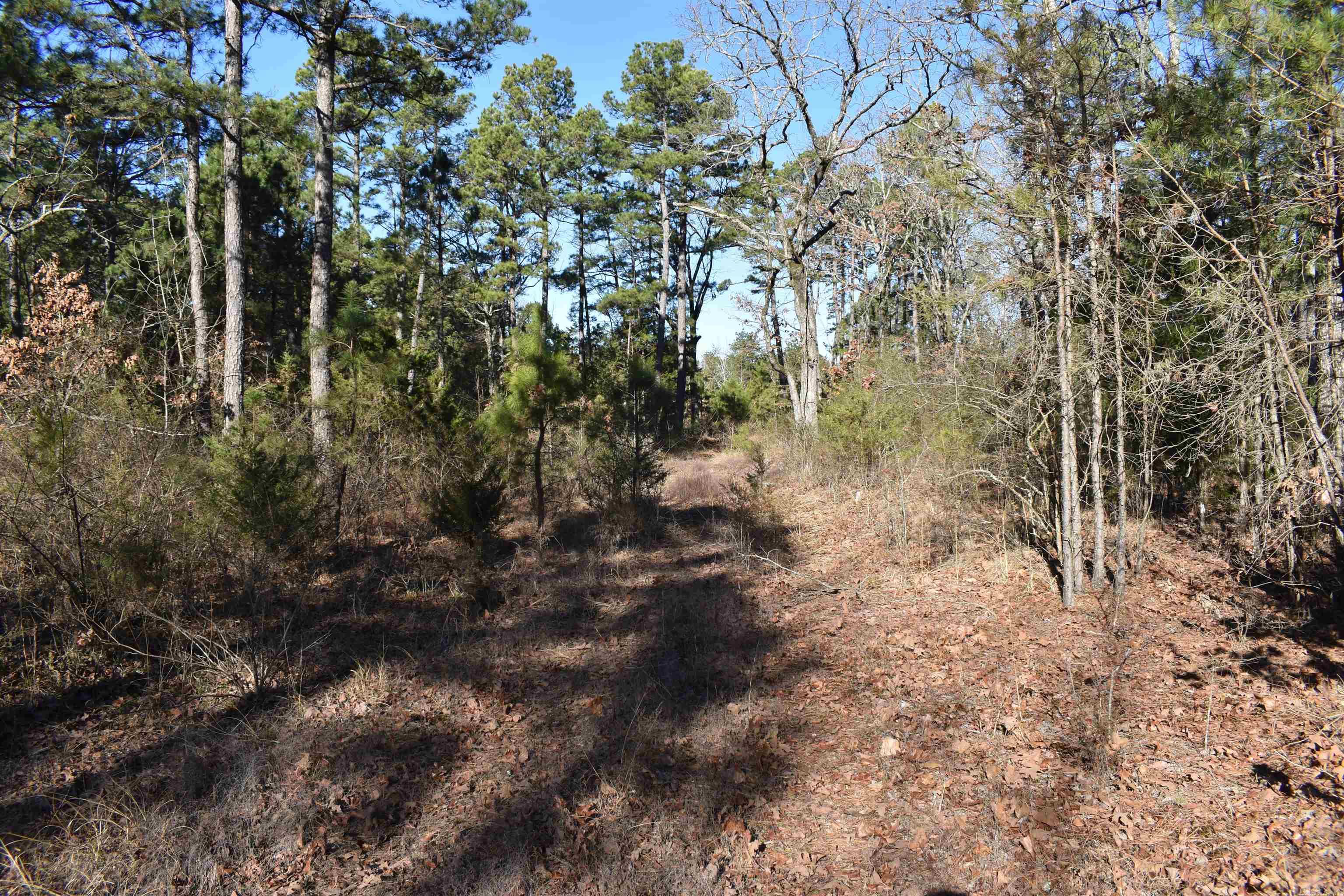 0000 Hwy 22 Property Photo 15