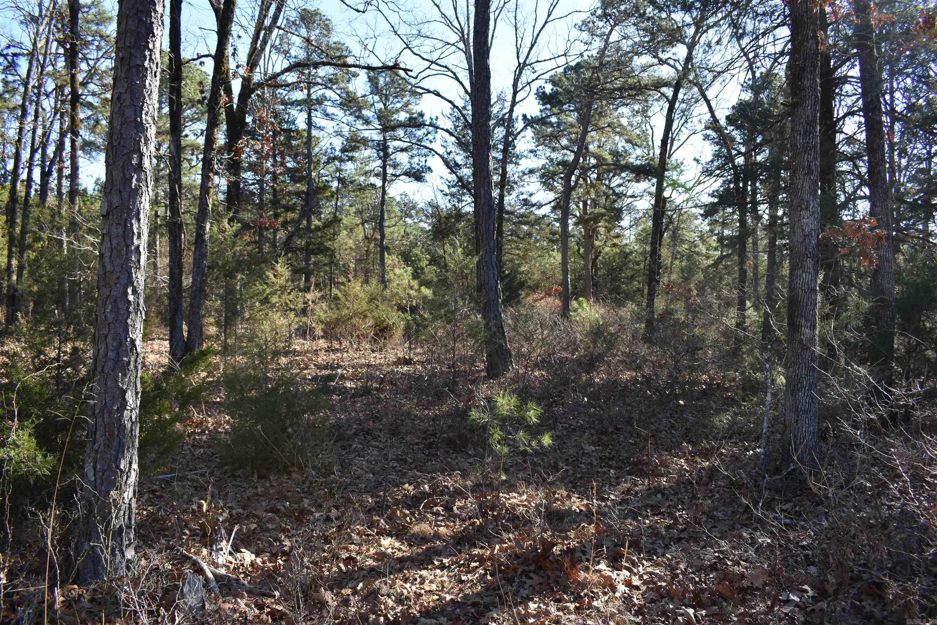 0000 Hwy 22 Property Photo 17