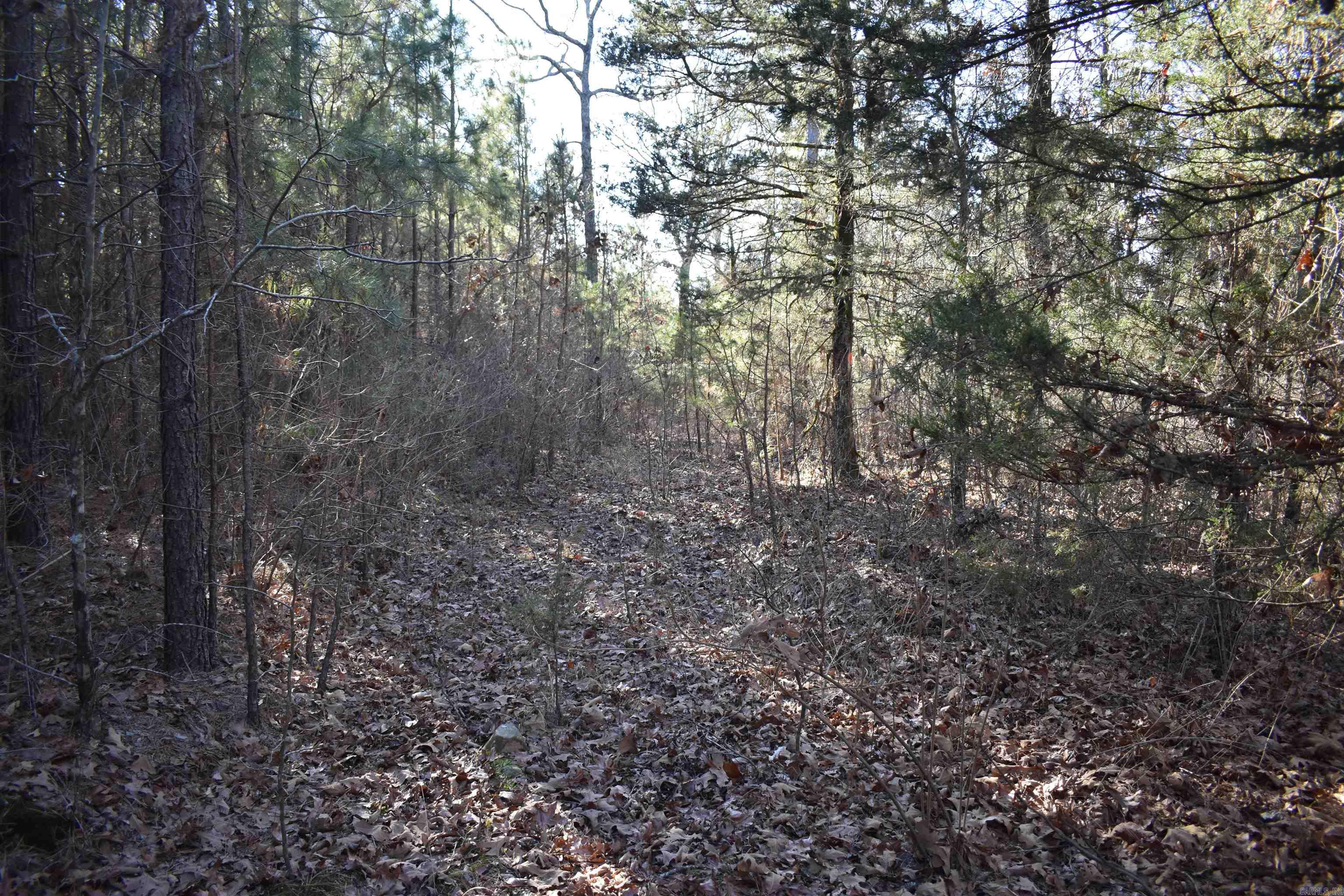 0000 Hwy 22 Property Photo 18