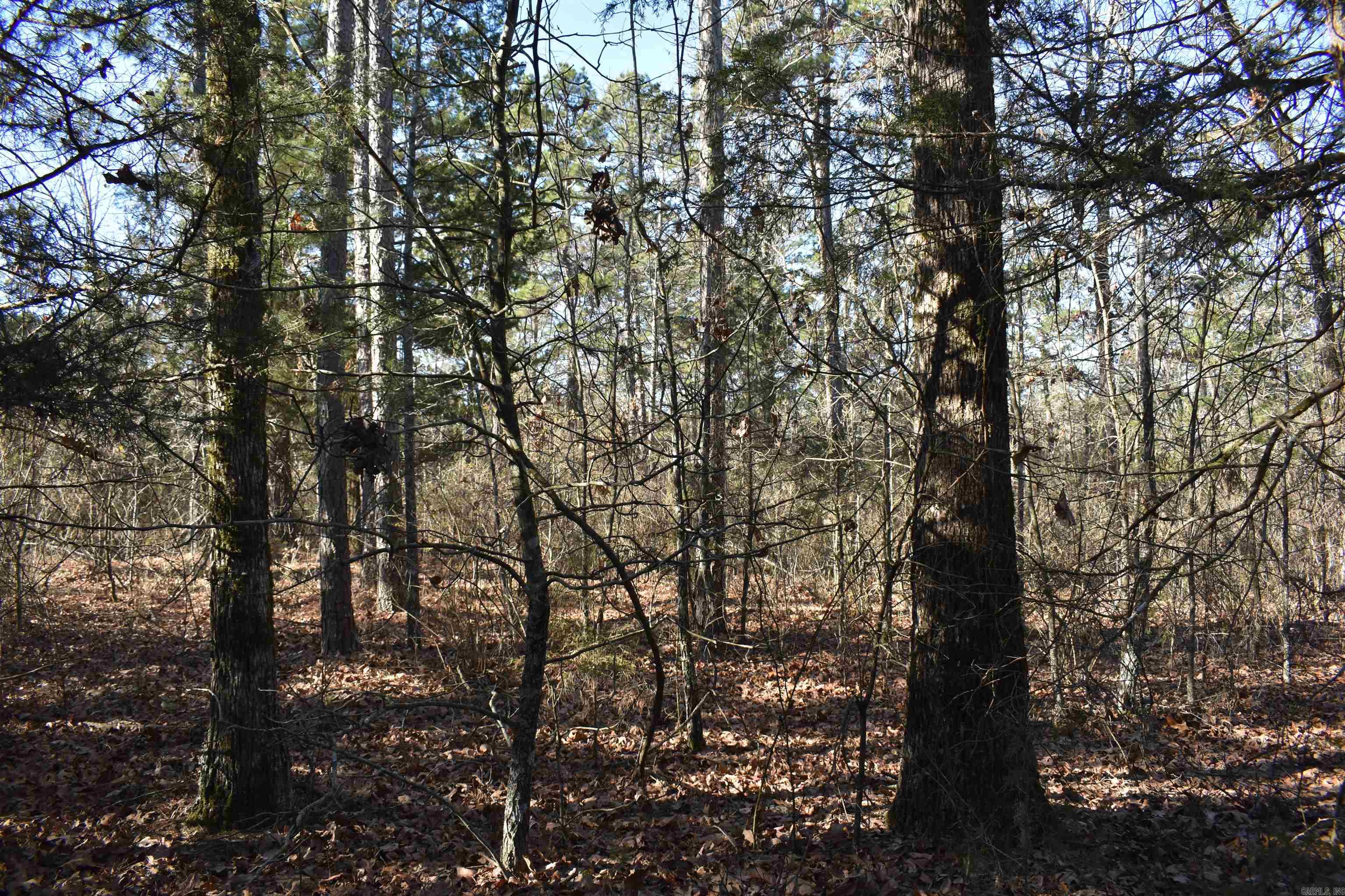 0000 Hwy 22 Property Photo 19