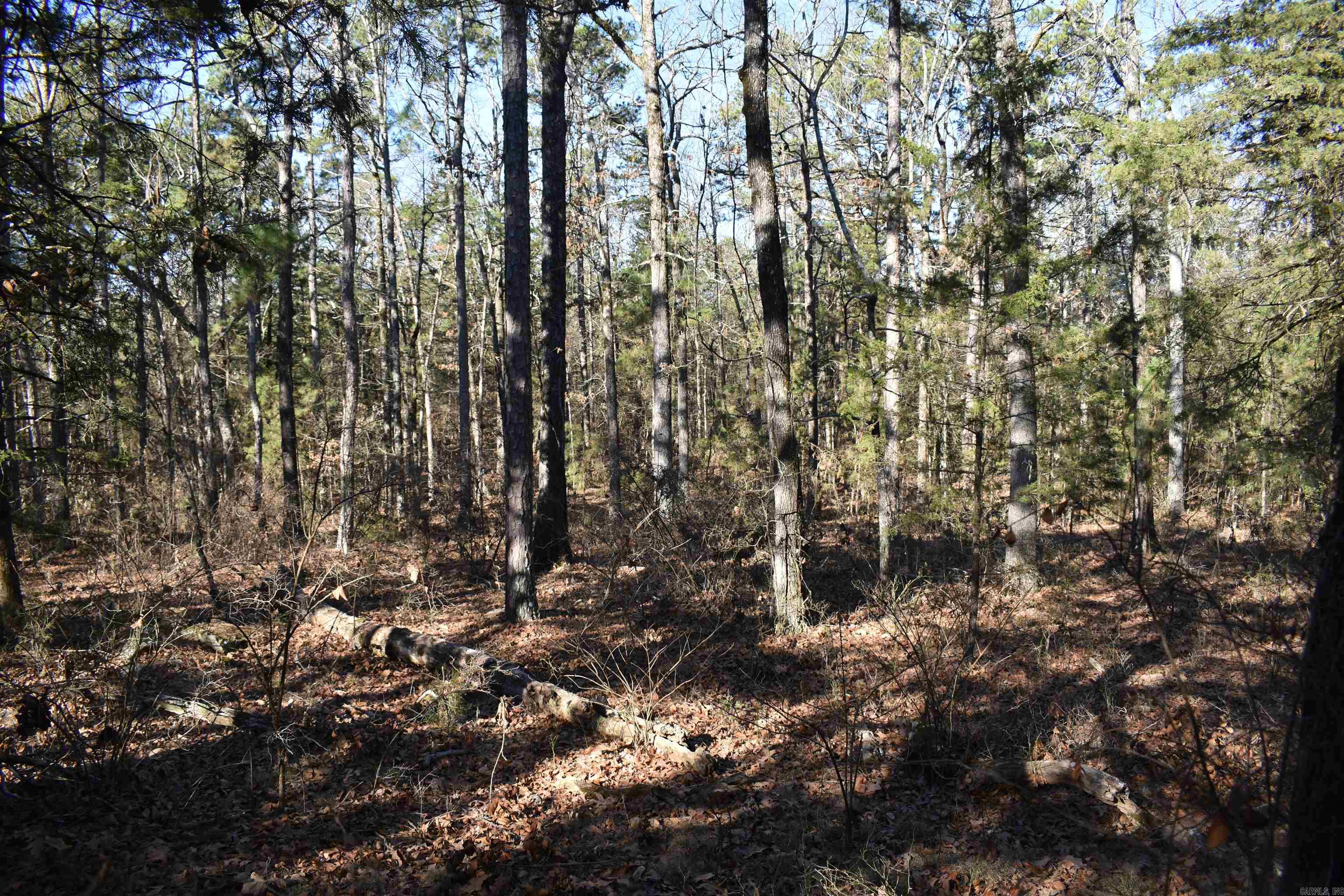 0000 Hwy 22 Property Photo 20
