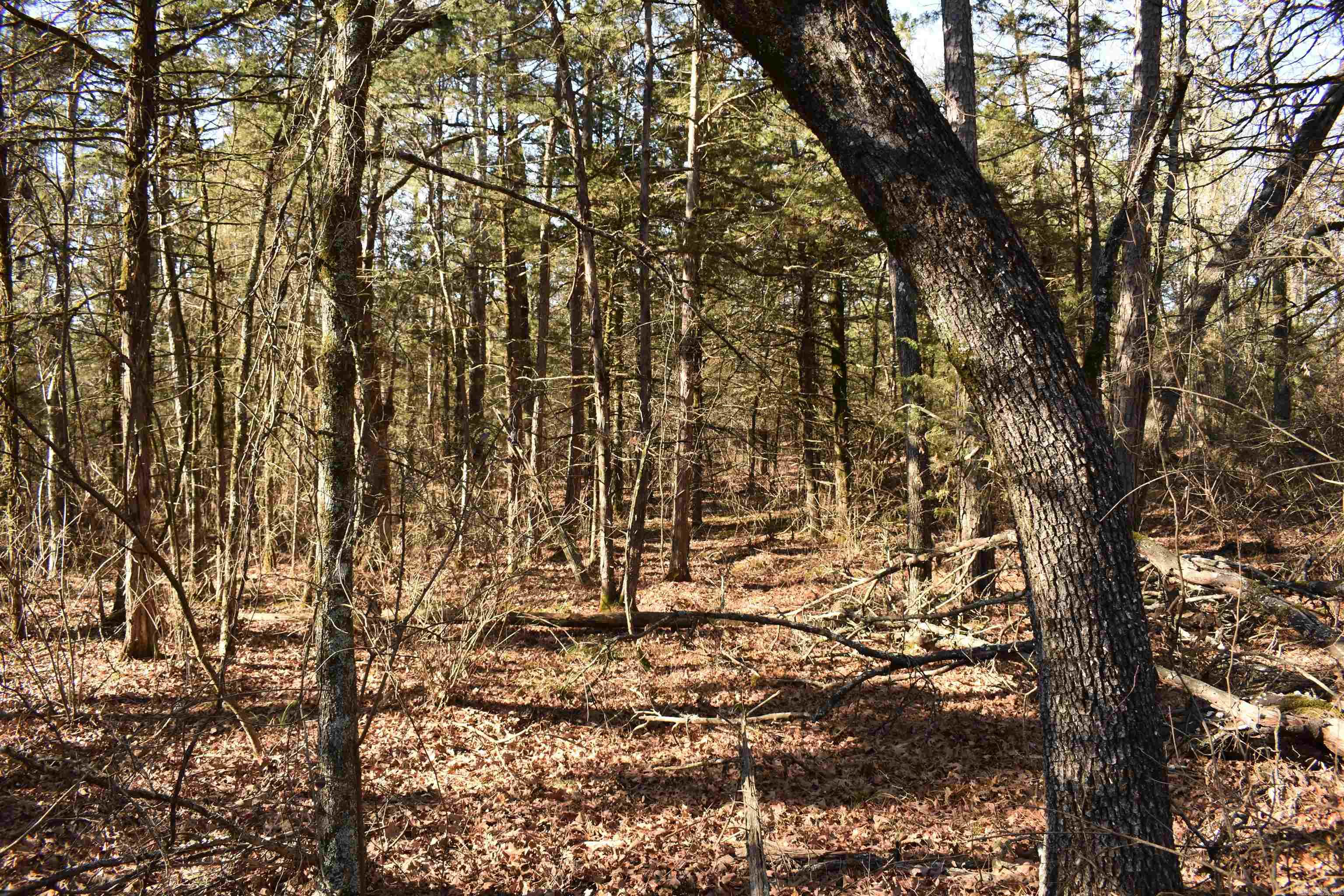 0000 Hwy 22 Property Photo 21