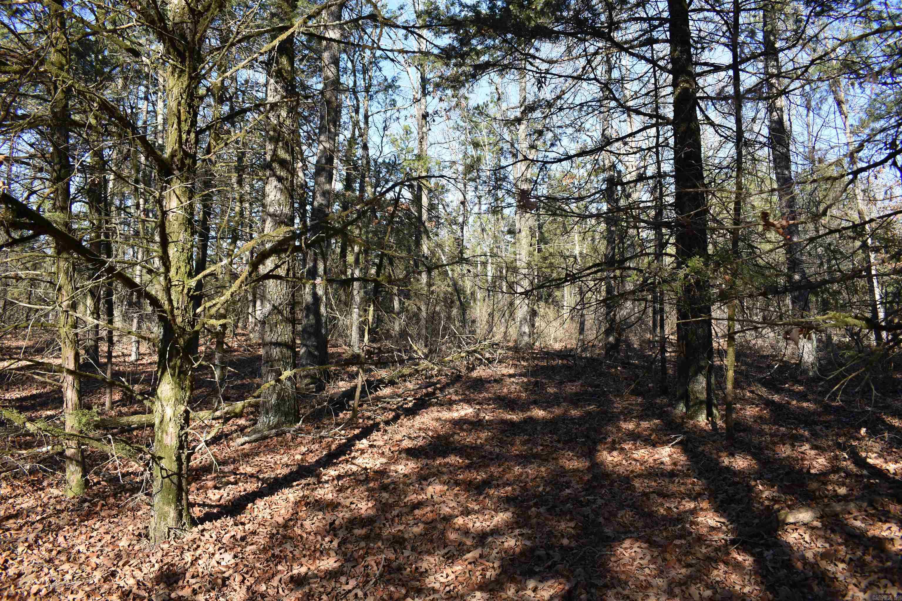 0000 Hwy 22 Property Photo 22
