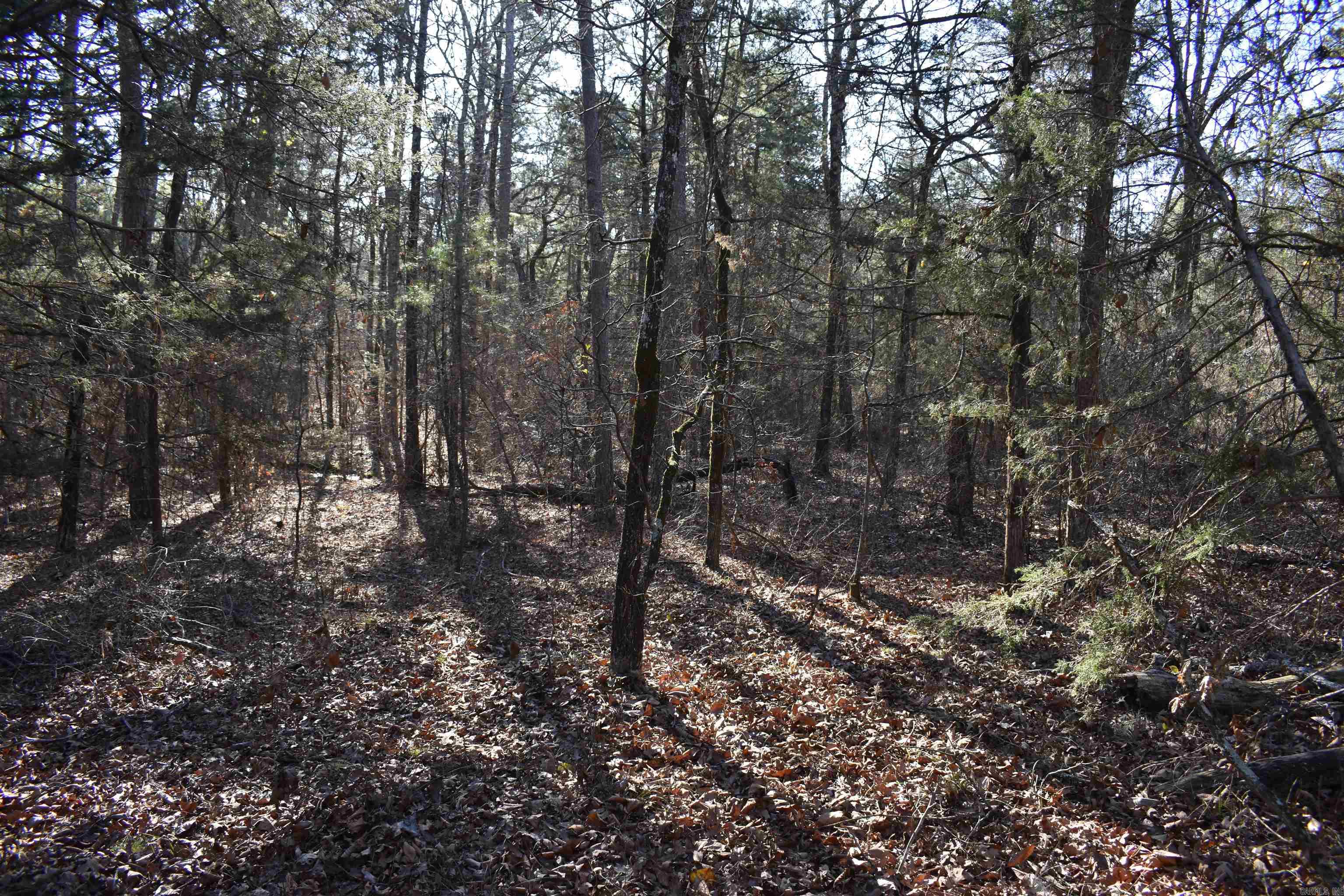0000 Hwy 22 Property Photo 23