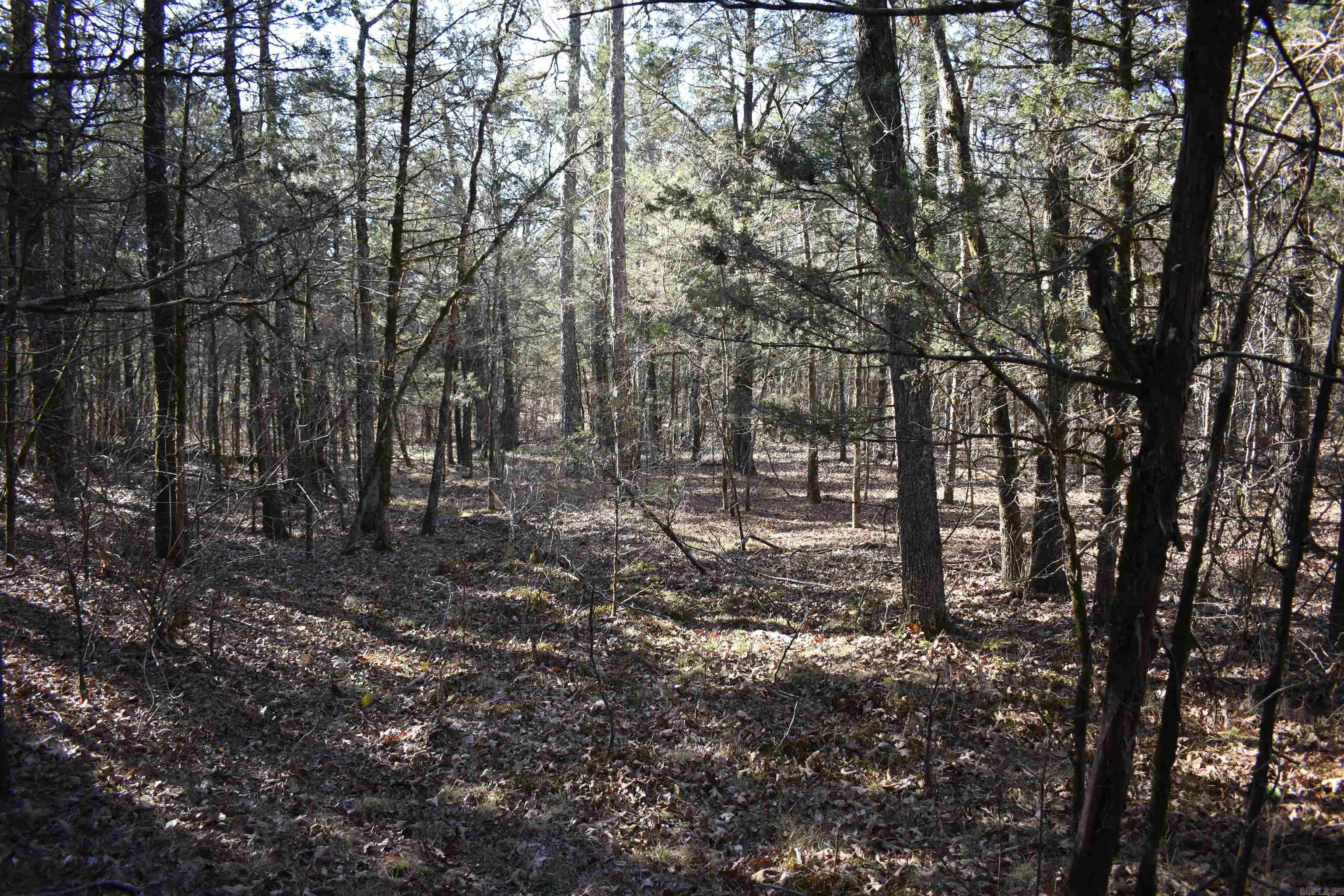 0000 Hwy 22 Property Photo 25