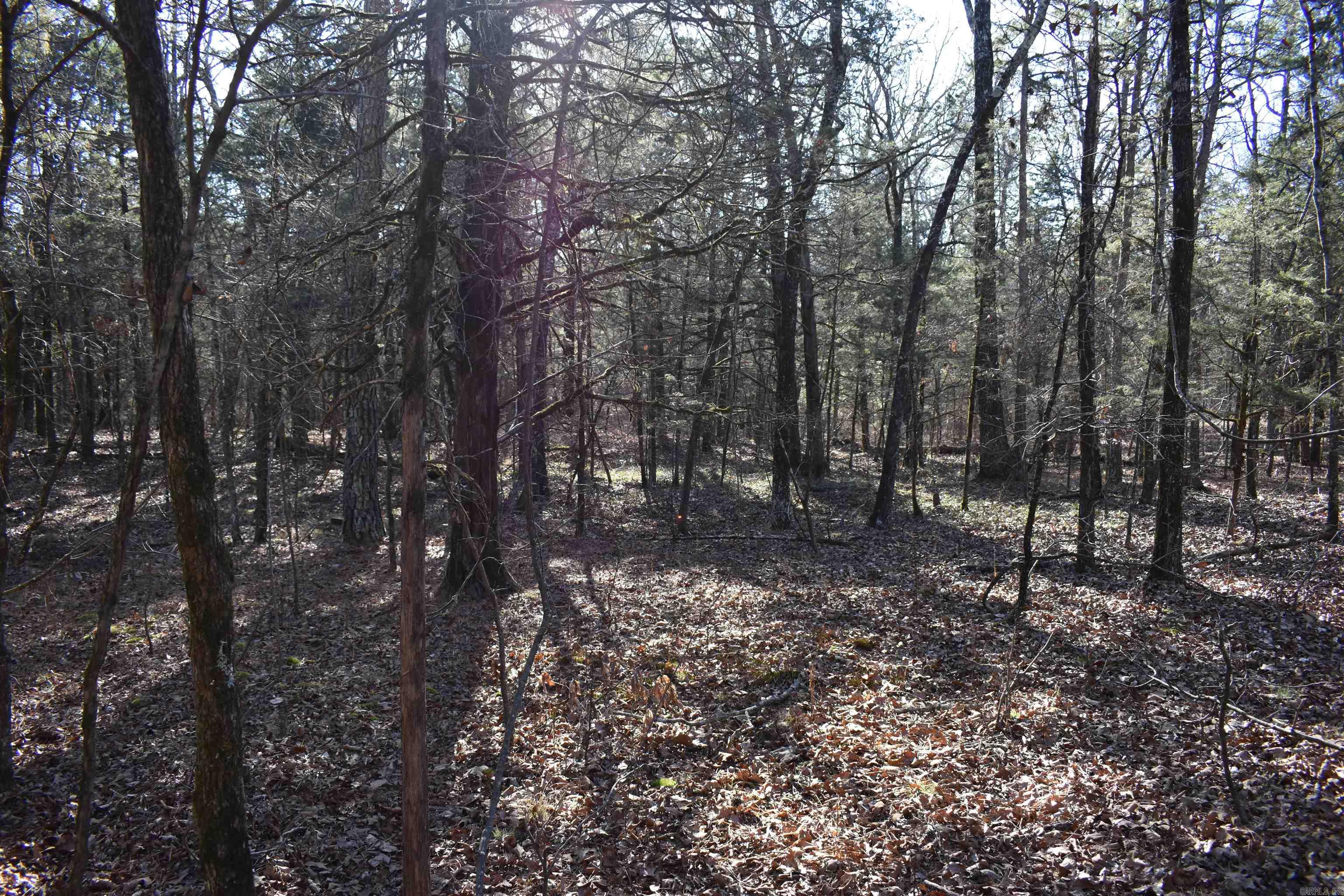 0000 Hwy 22 Property Photo 27