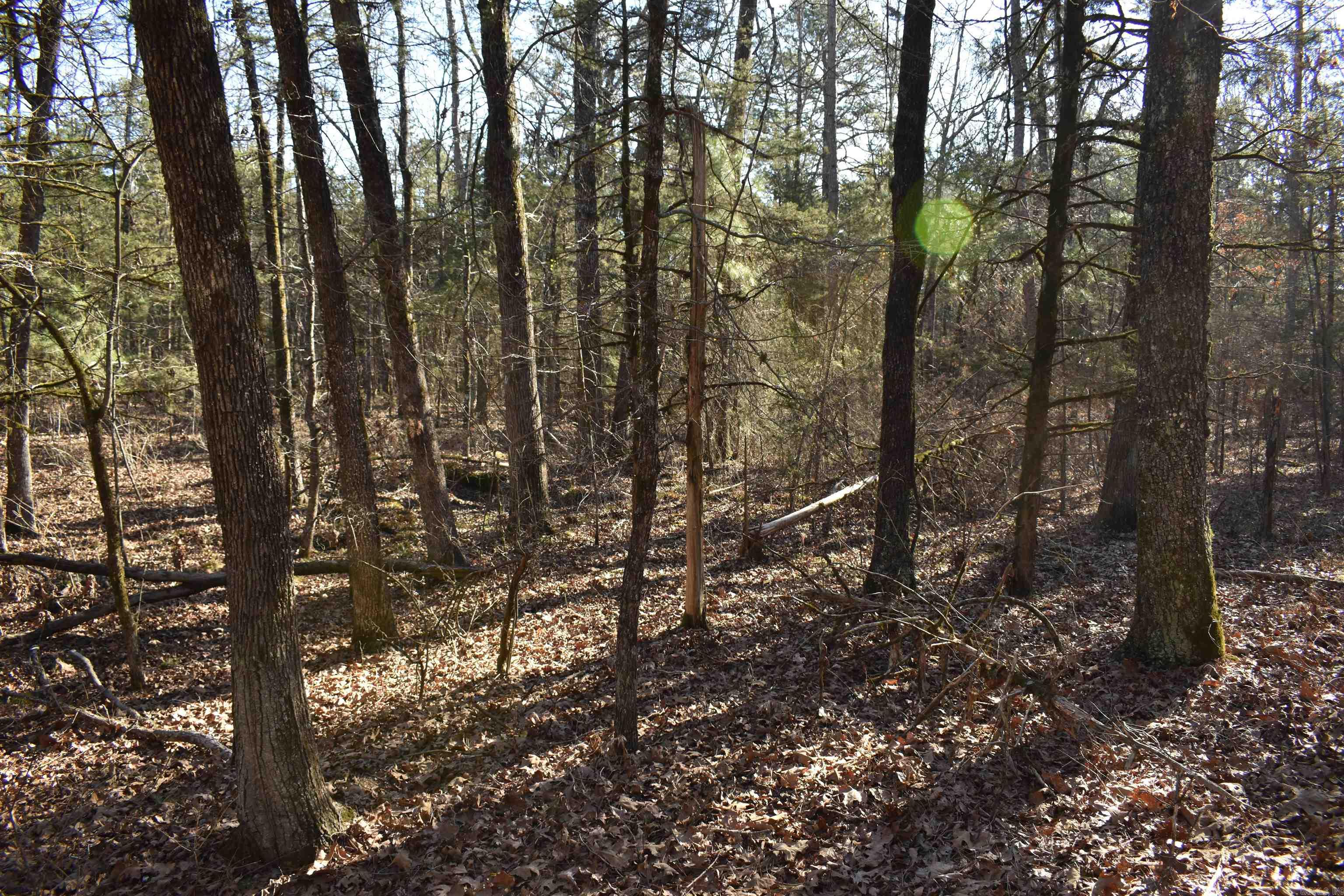0000 Hwy 22 Property Photo 28