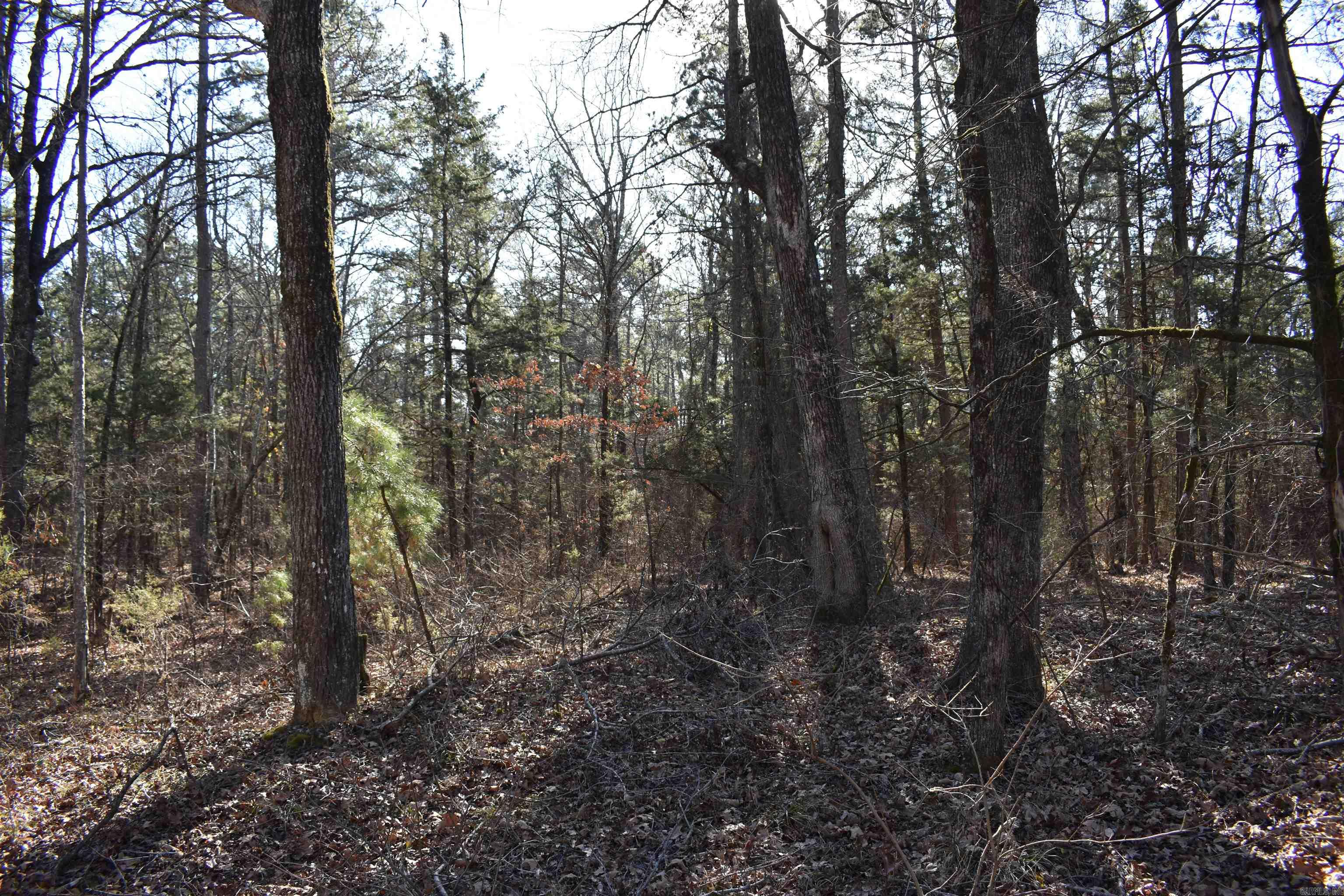 0000 Hwy 22 Property Photo 29