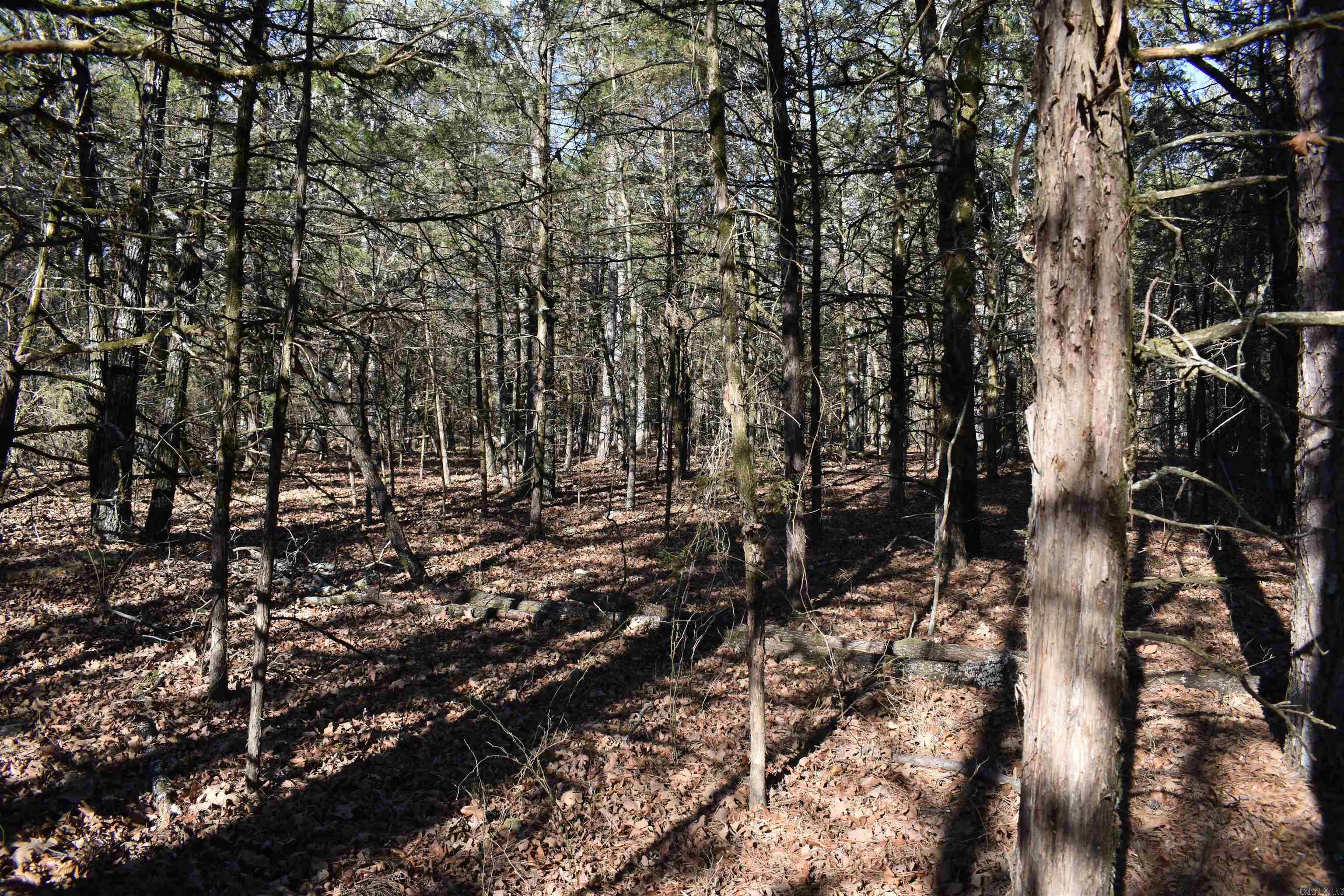 0000 Hwy 22 Property Photo 33