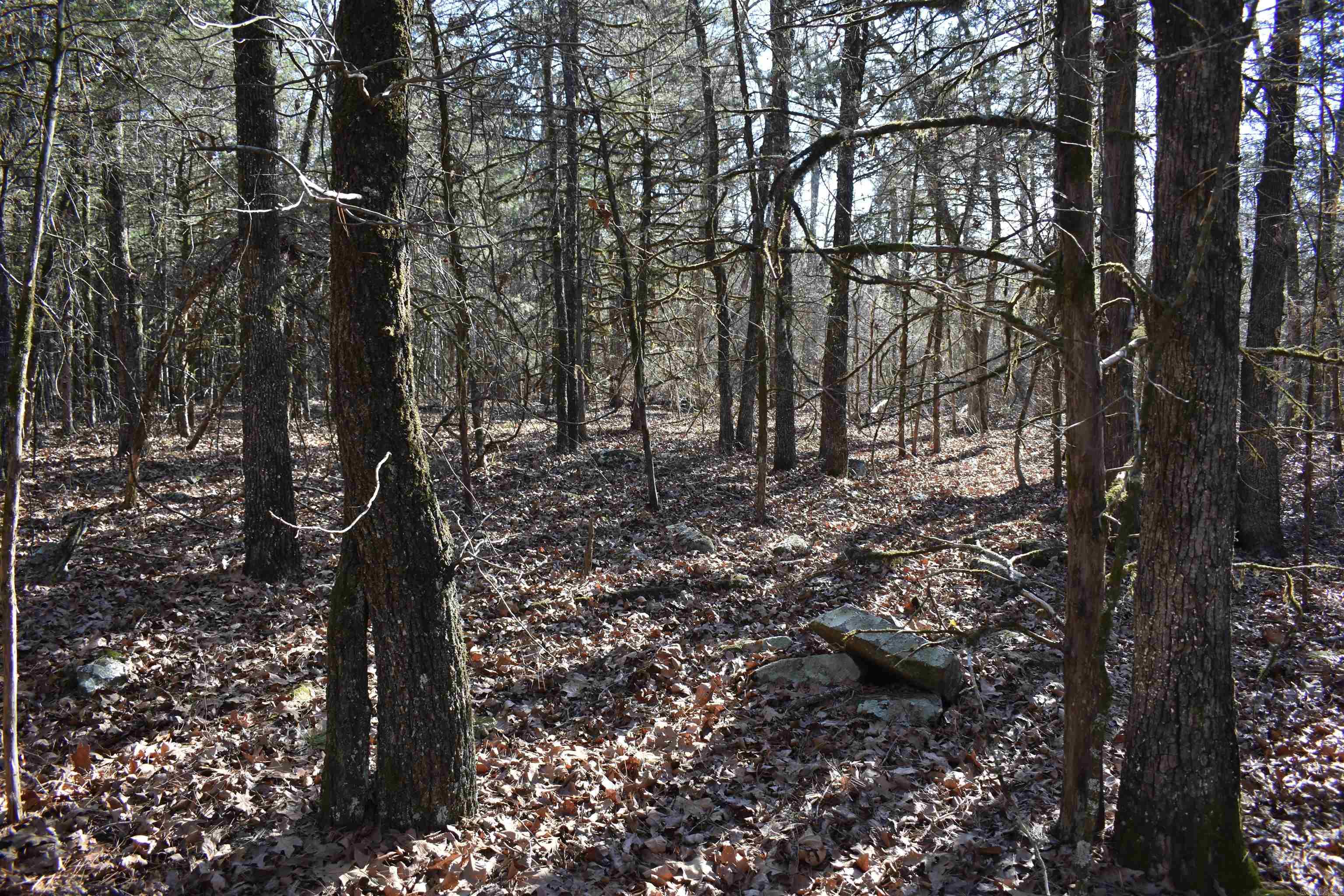 0000 Hwy 22 Property Photo 34