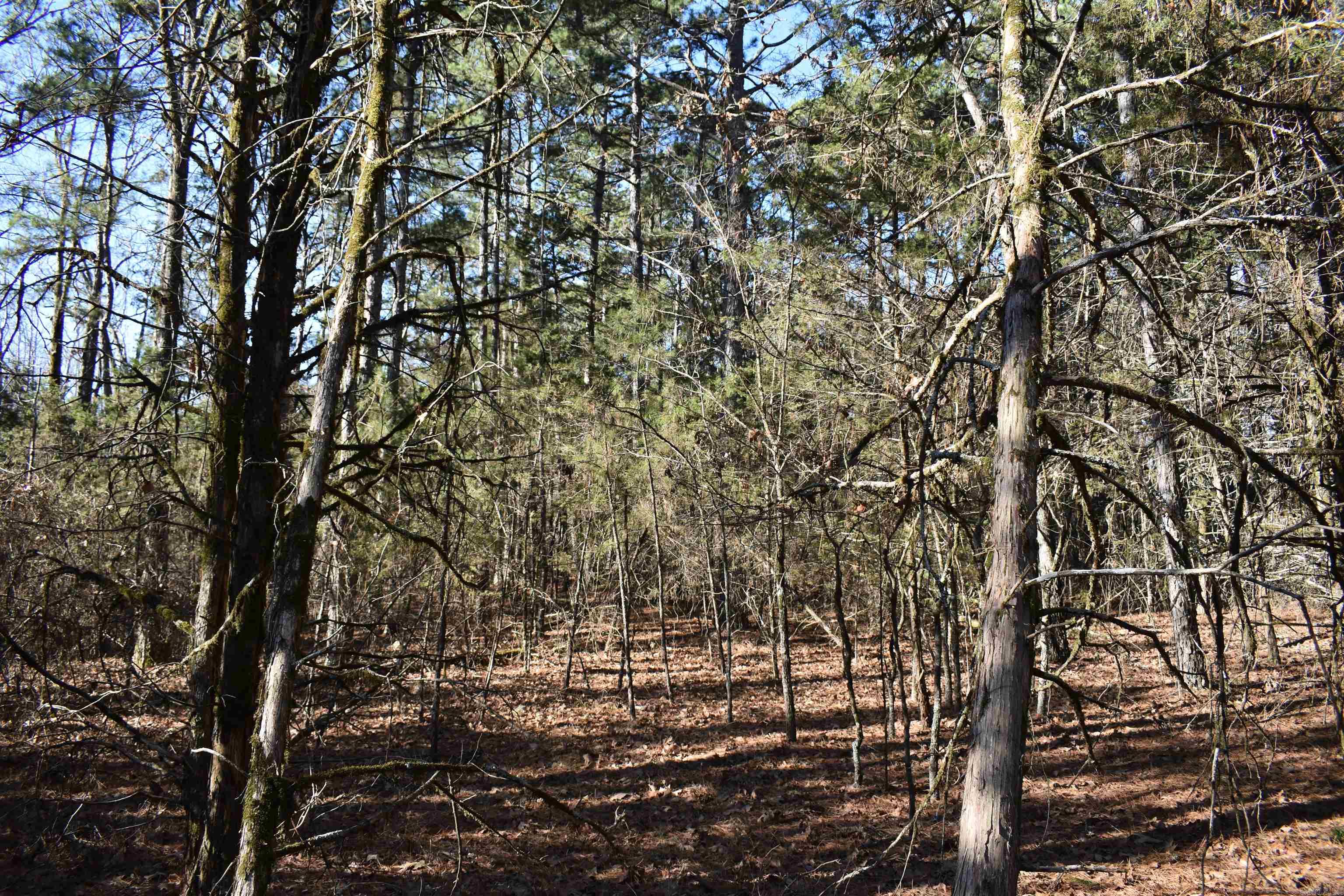0000 Hwy 22 Property Photo 35