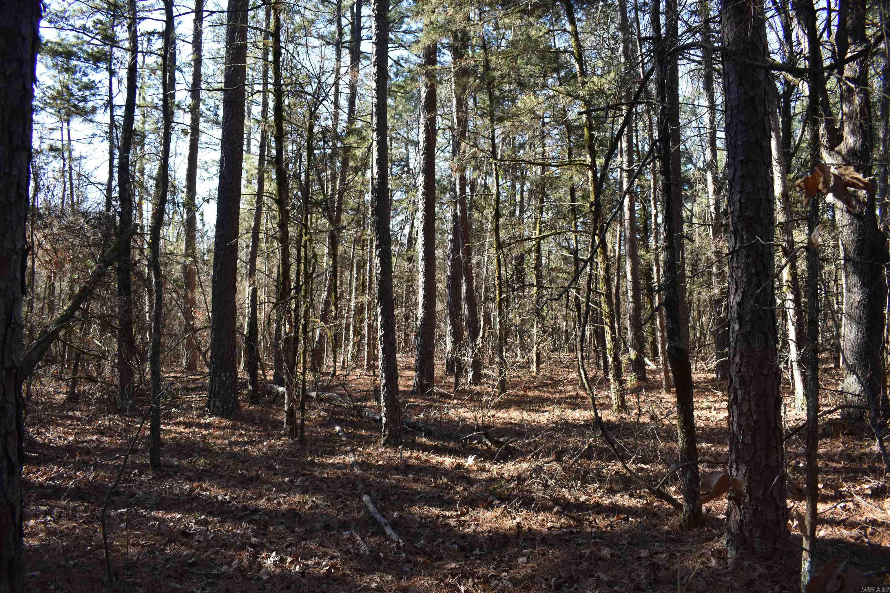 0000 Hwy 22 Property Photo 37