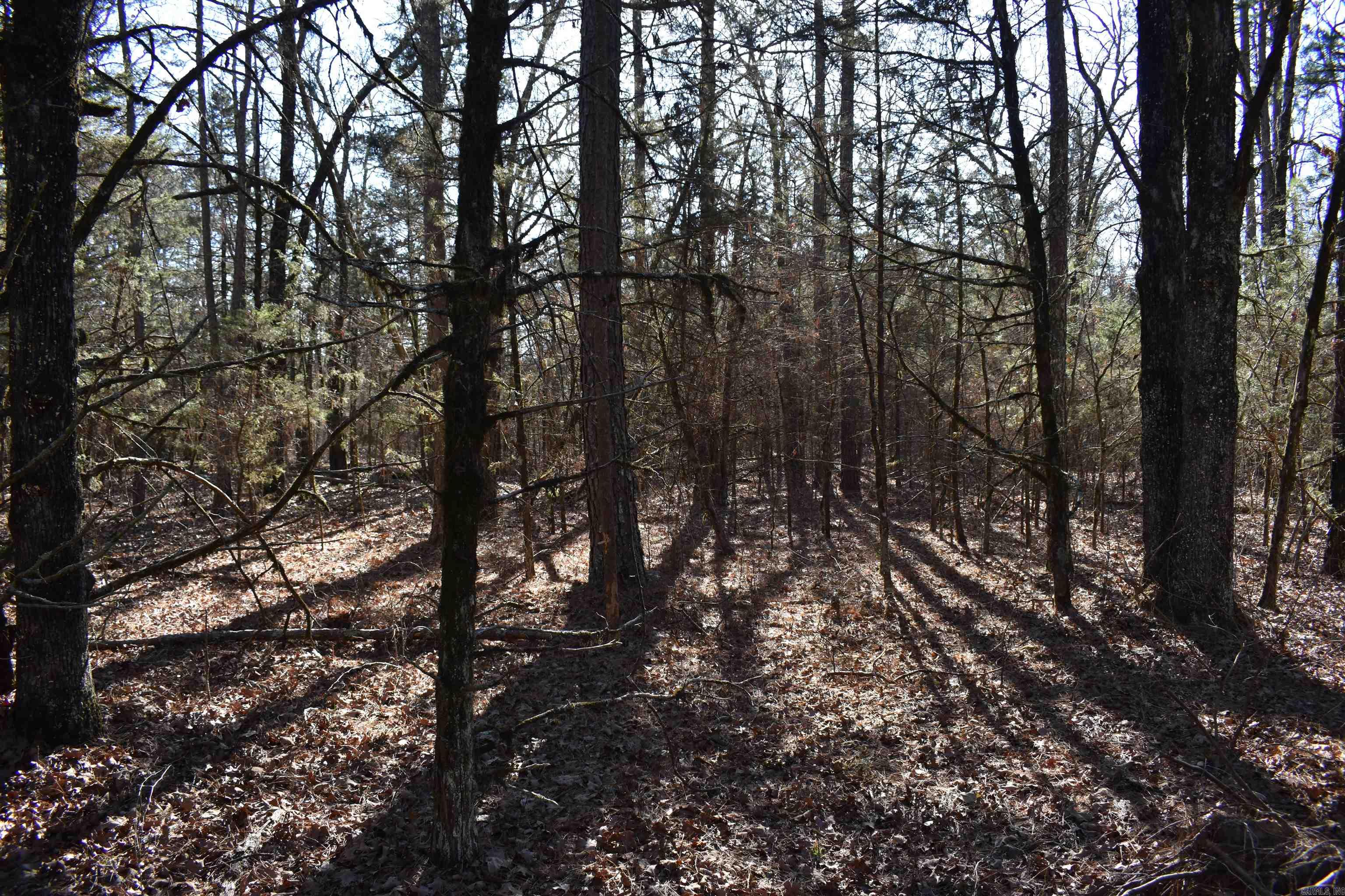 0000 Hwy 22 Property Photo 38