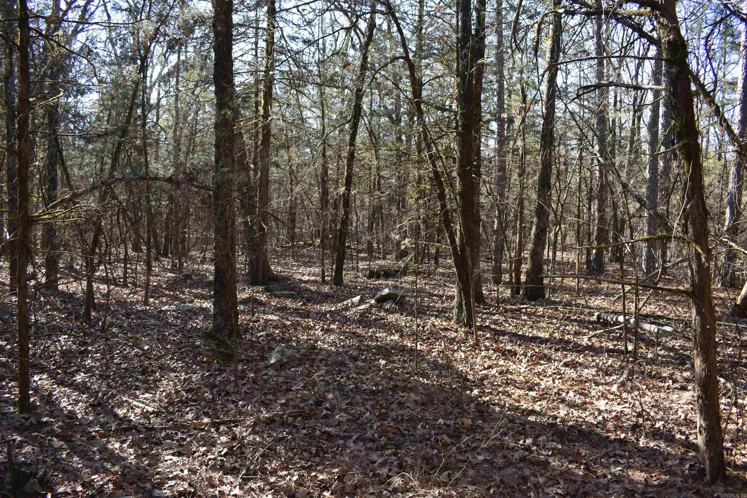0000 Hwy 22 Property Photo 39
