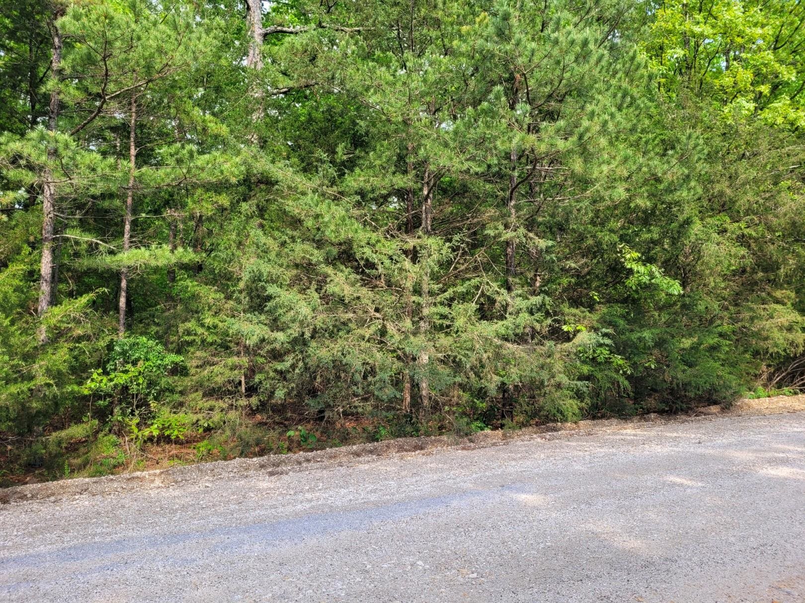 Lot 227 Medley Road Property Photo 7