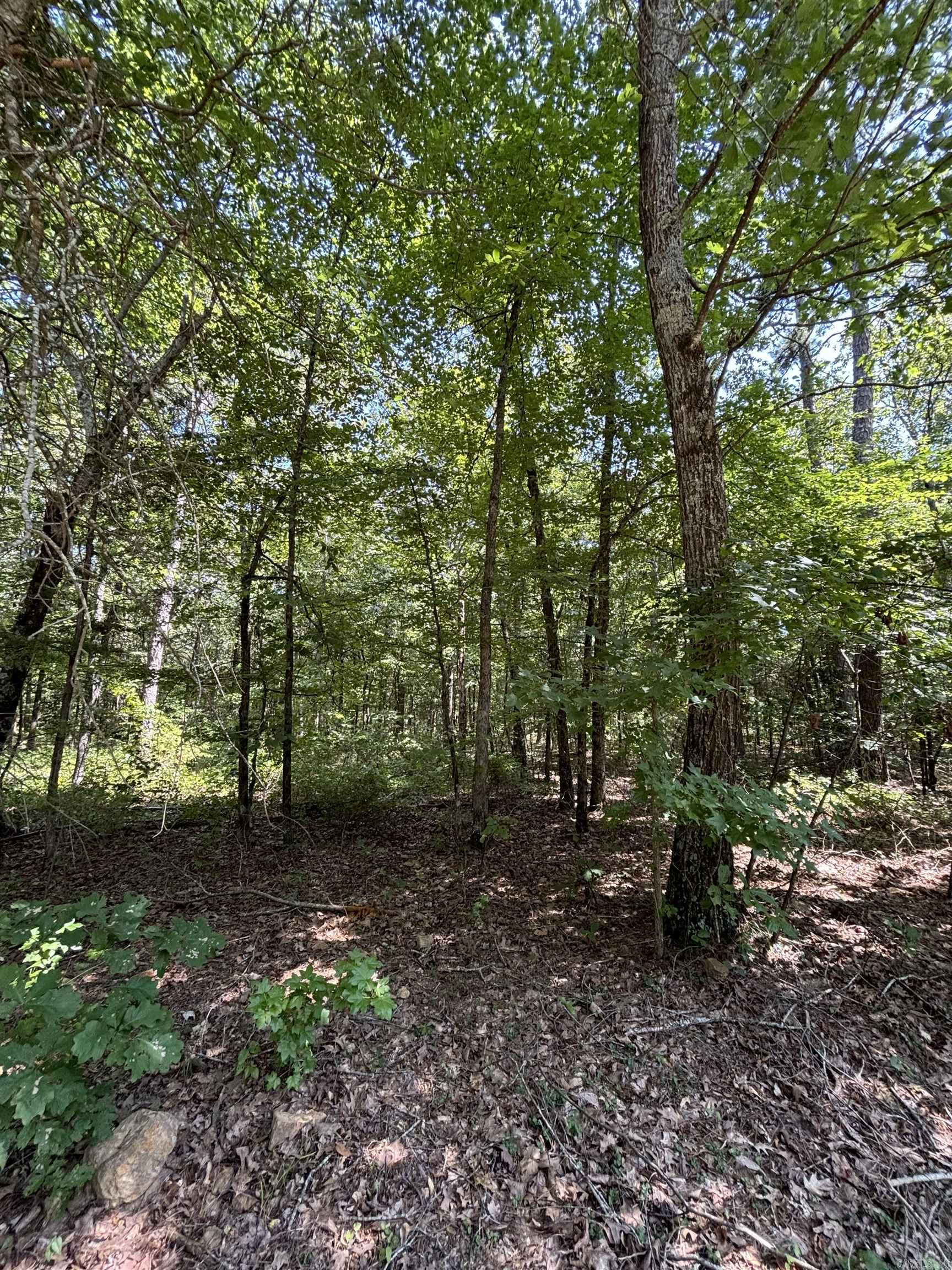 Lot 25 Wood Lane Property Photo 2