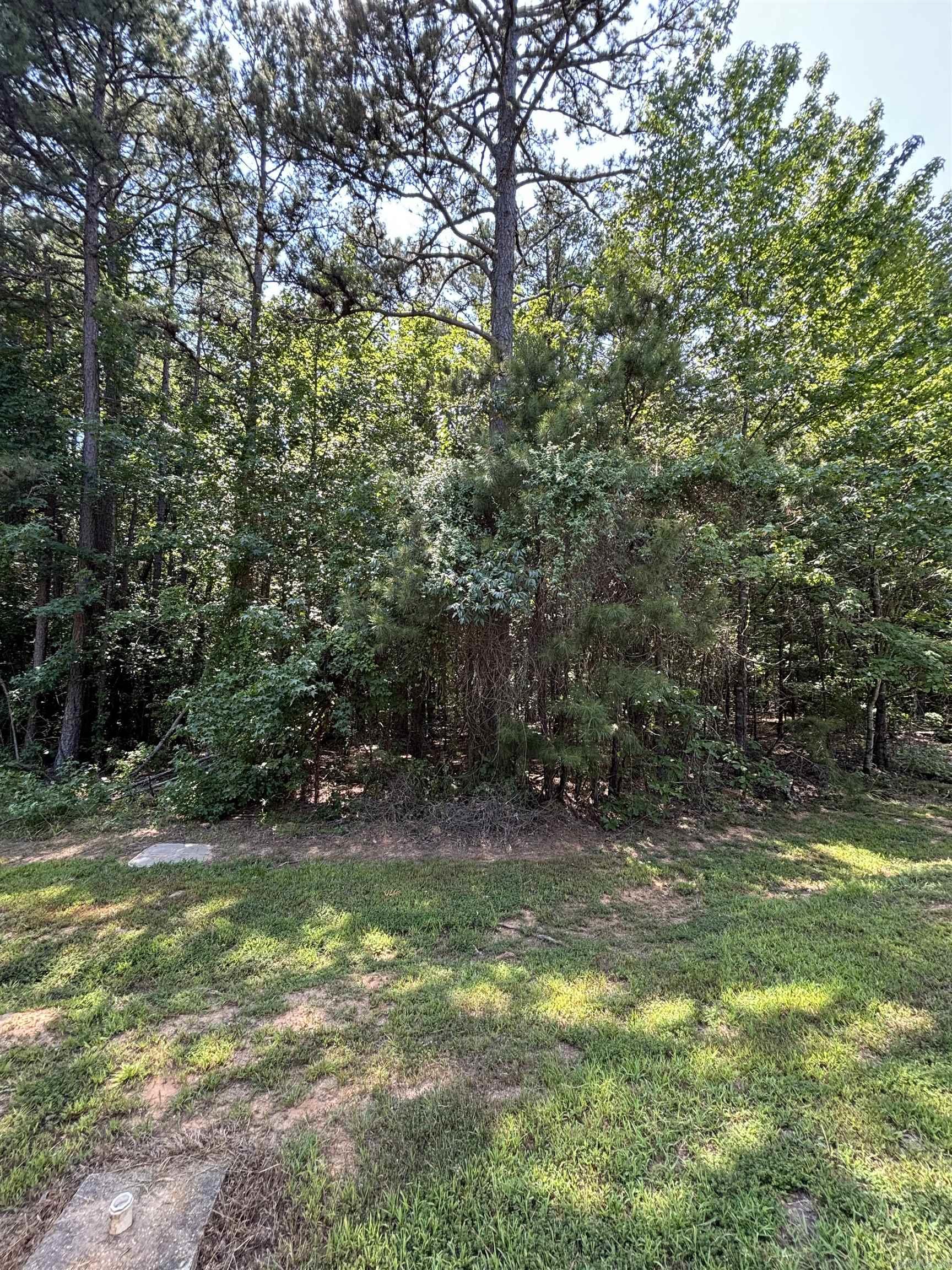 Lot 29 Wood - Shields Lane Property Photo 2