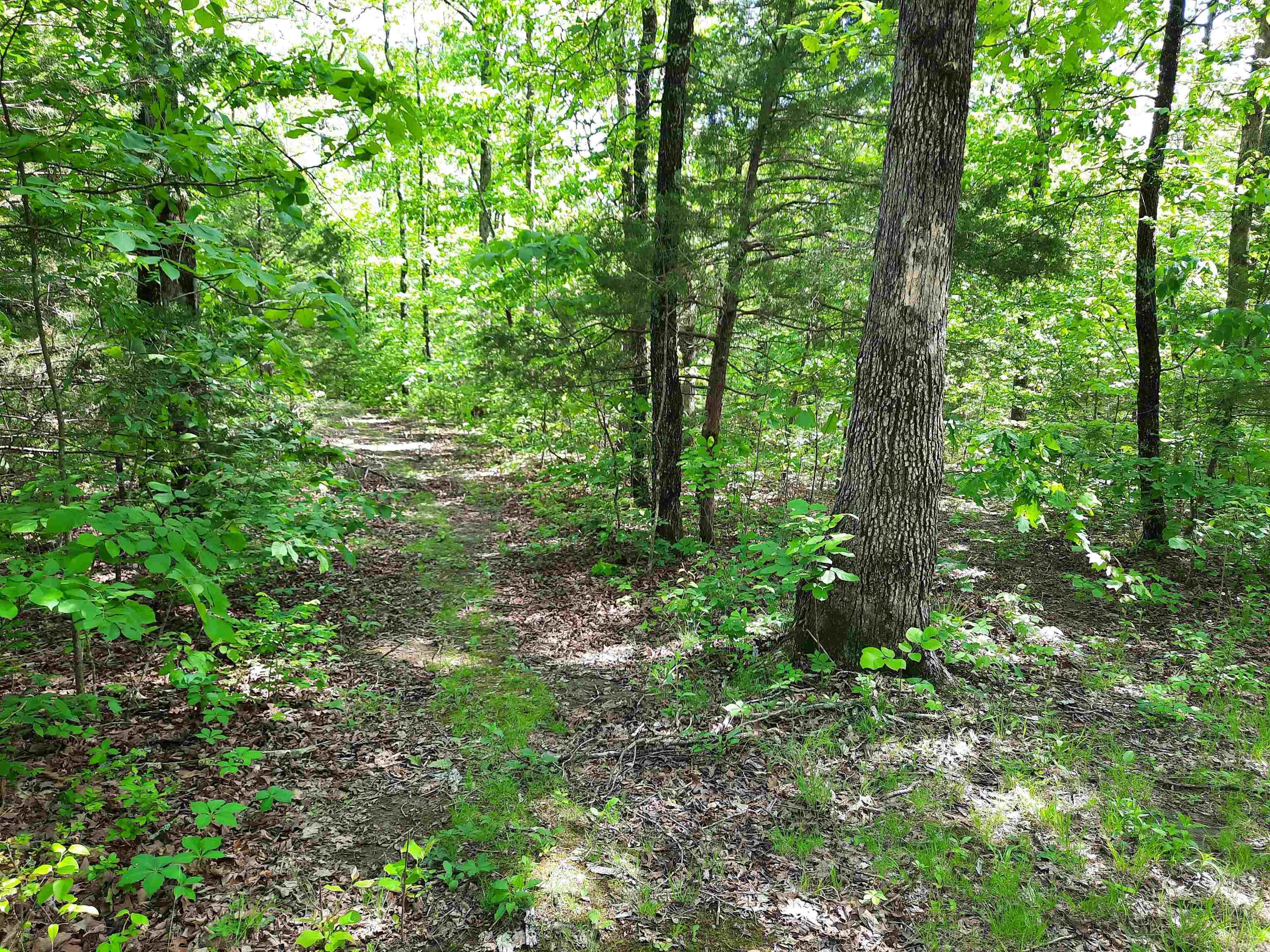 Flat Rock Property Photo 1