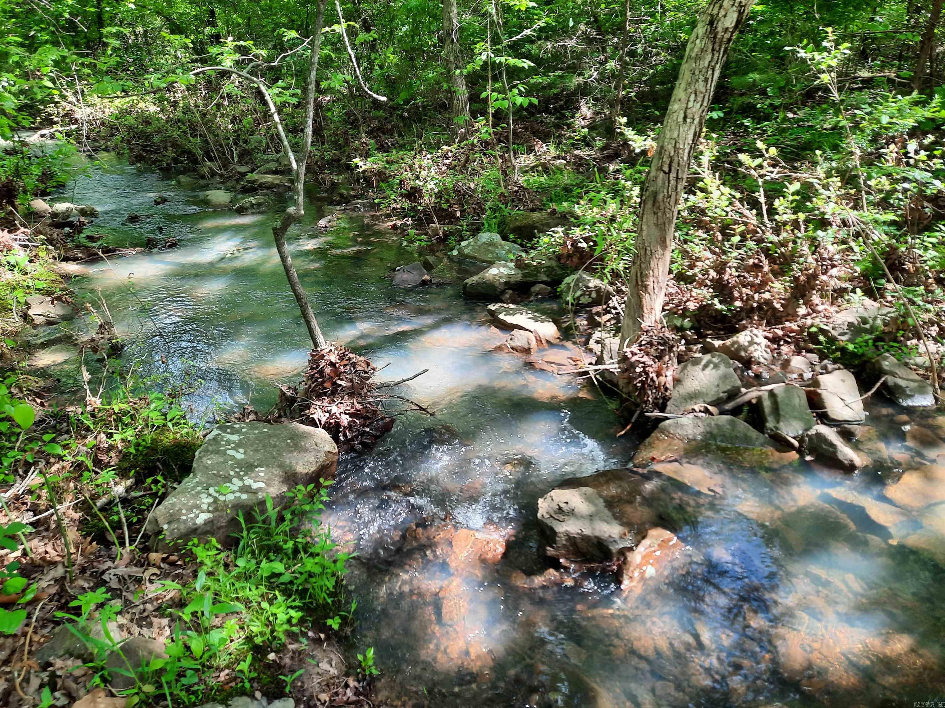 Flat Rock Property Photo 2