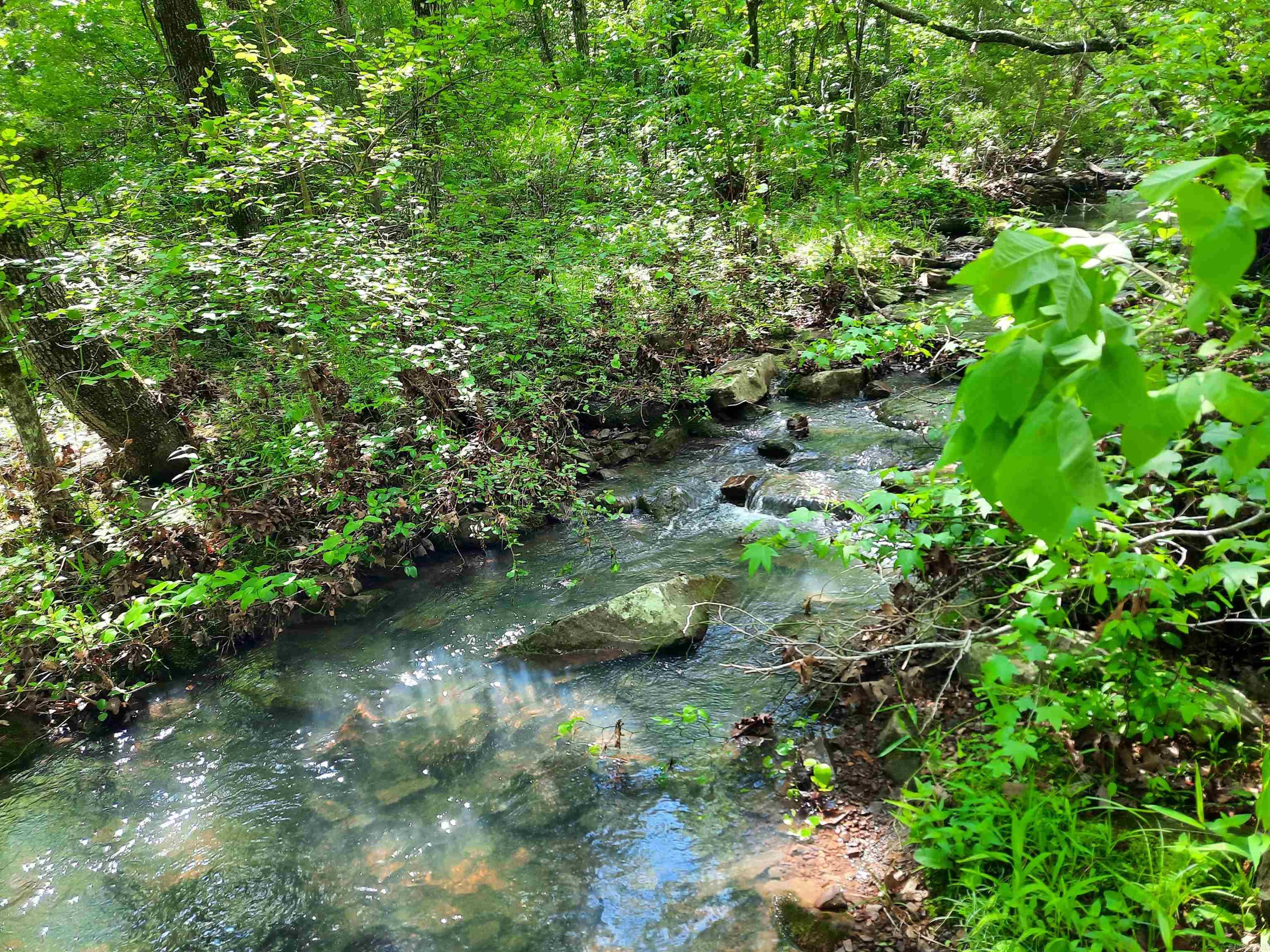 Flat Rock Property Photo 3