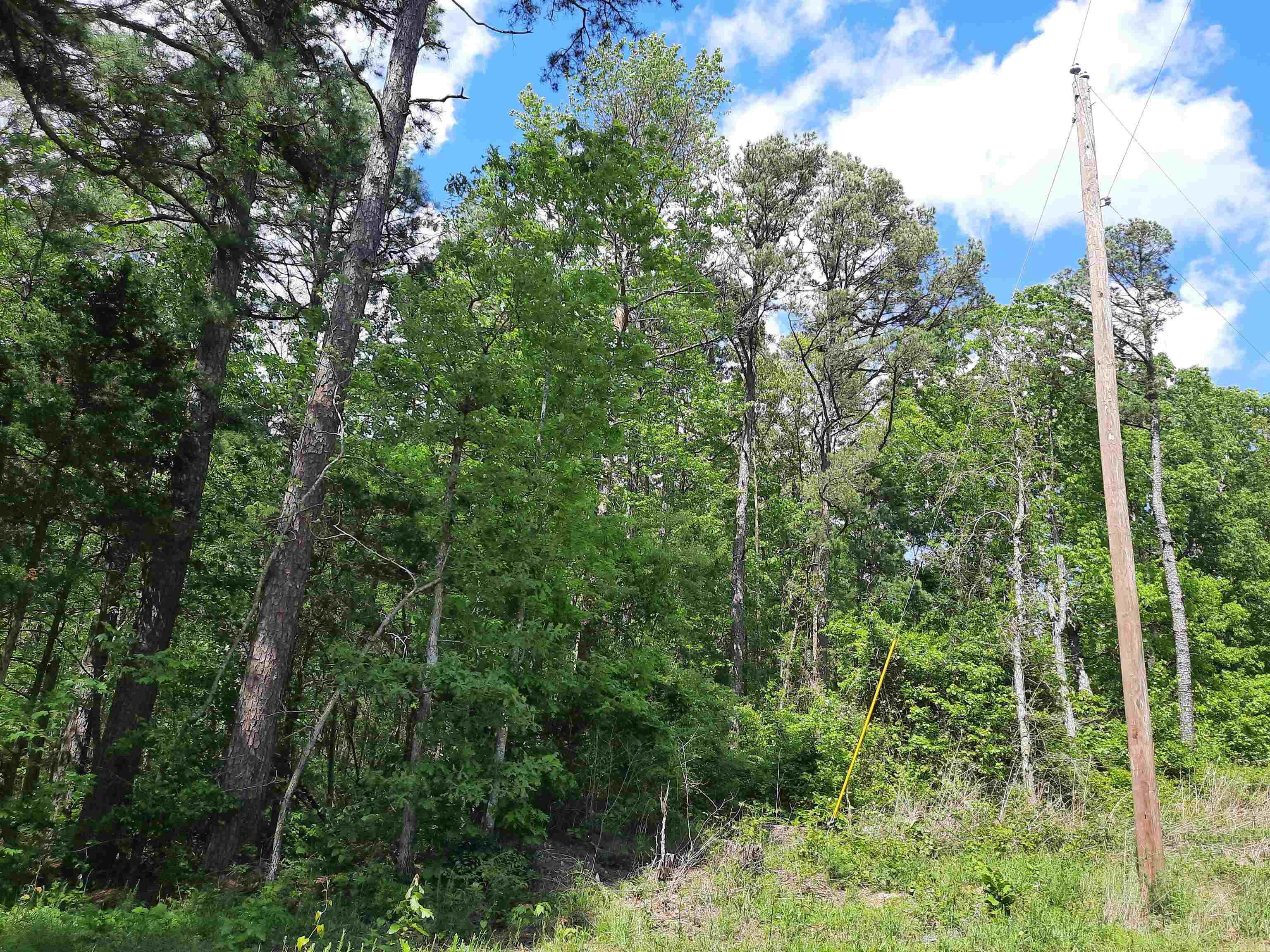 Flat Rock Property Photo 4