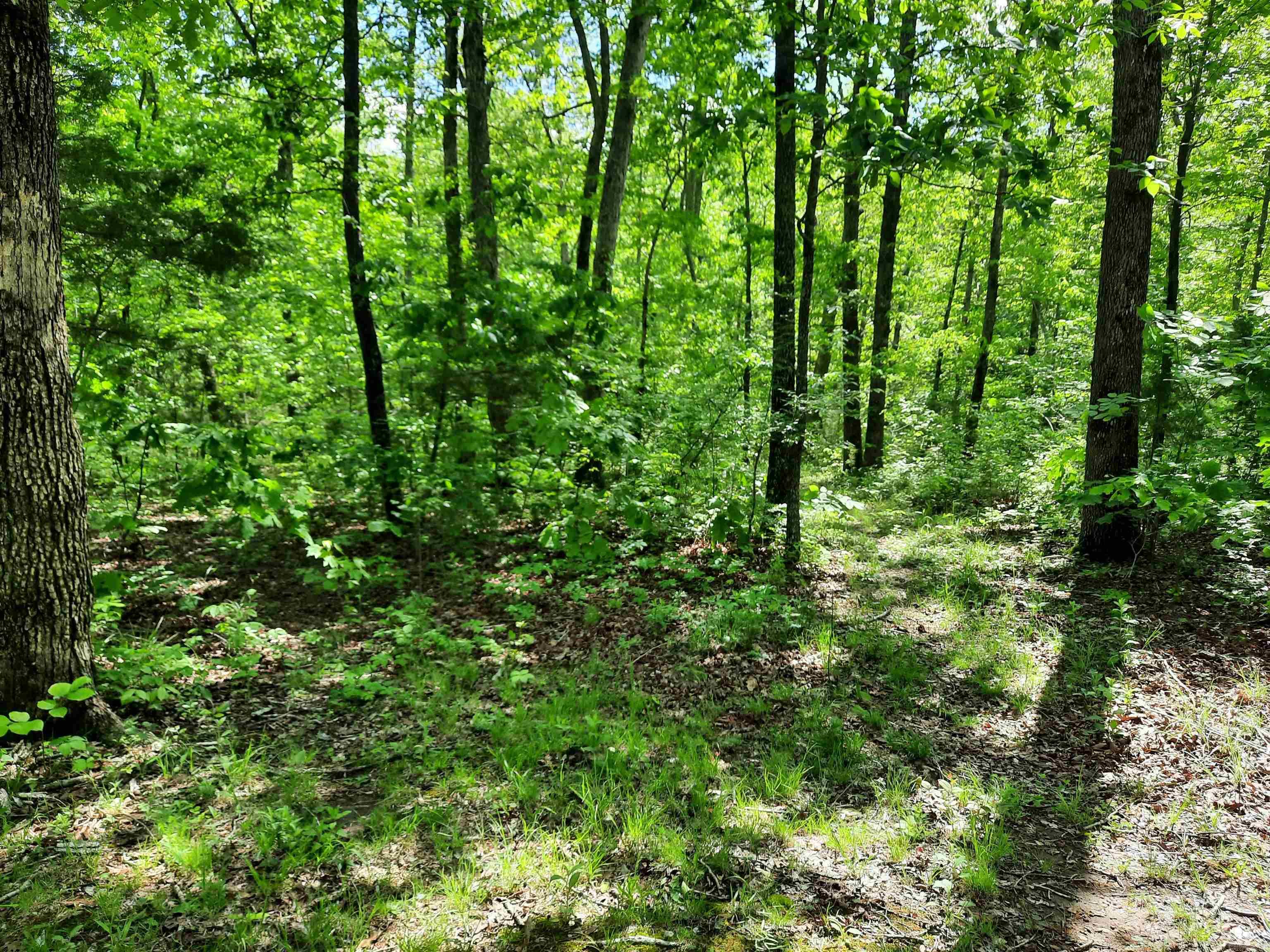Flat Rock Property Photo 5