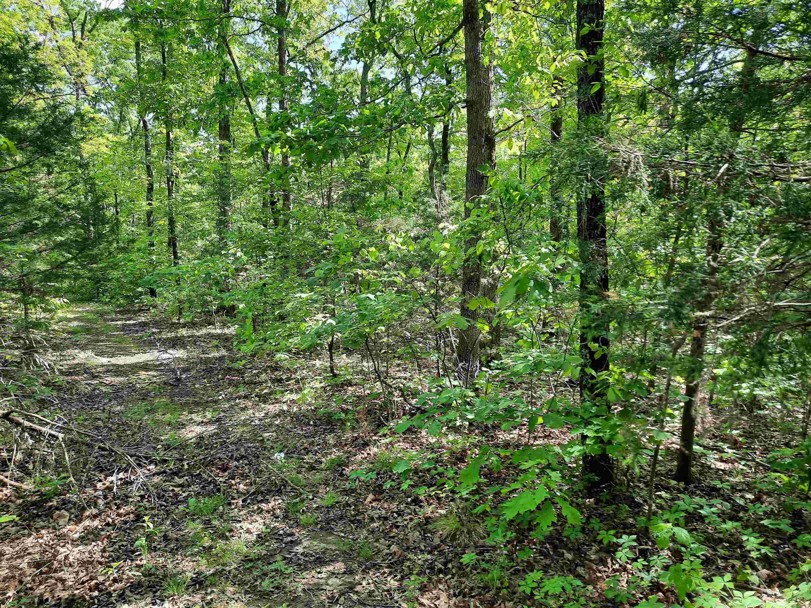 Flat Rock Property Photo 6
