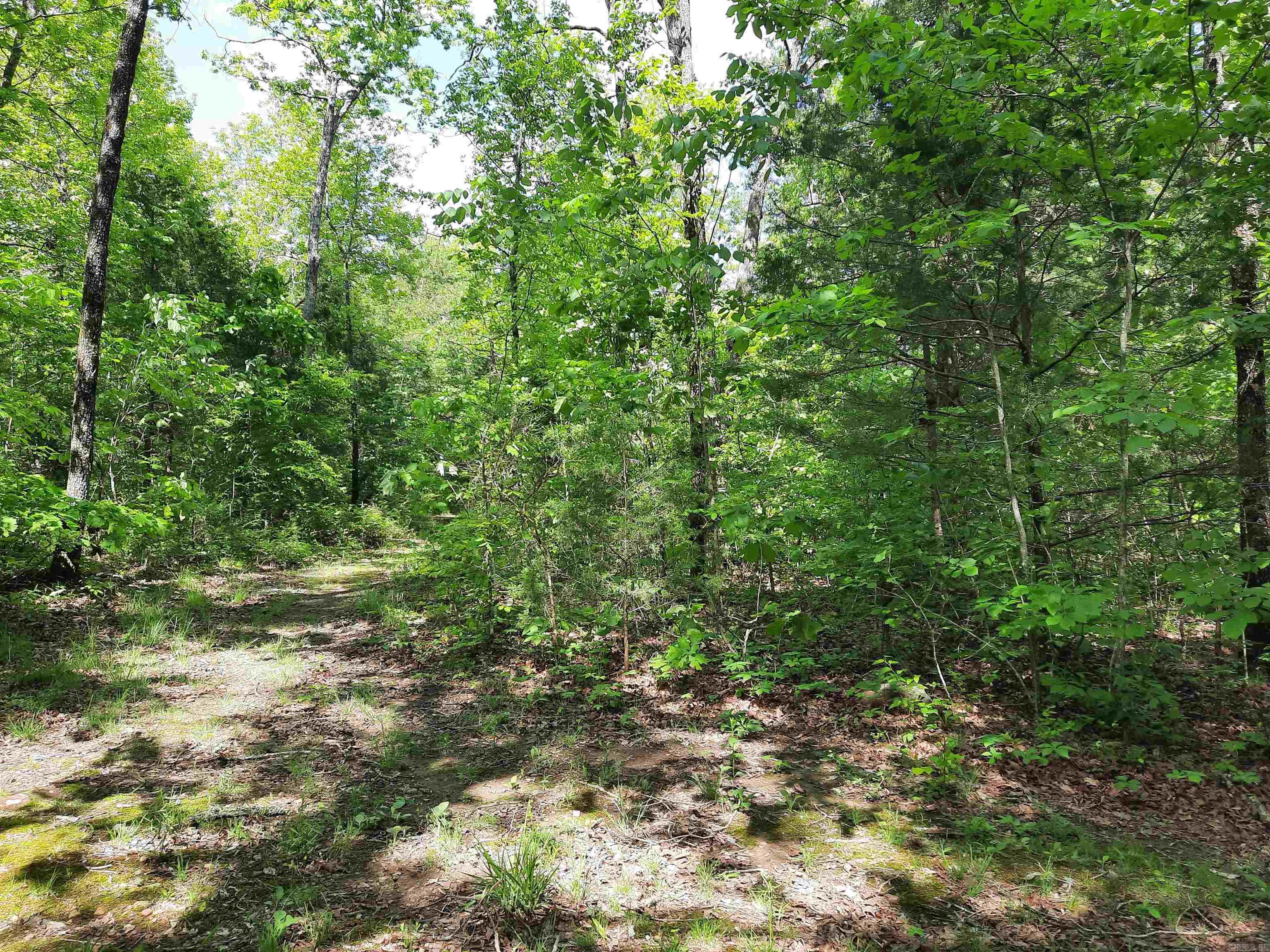 Flat Rock Property Photo 7