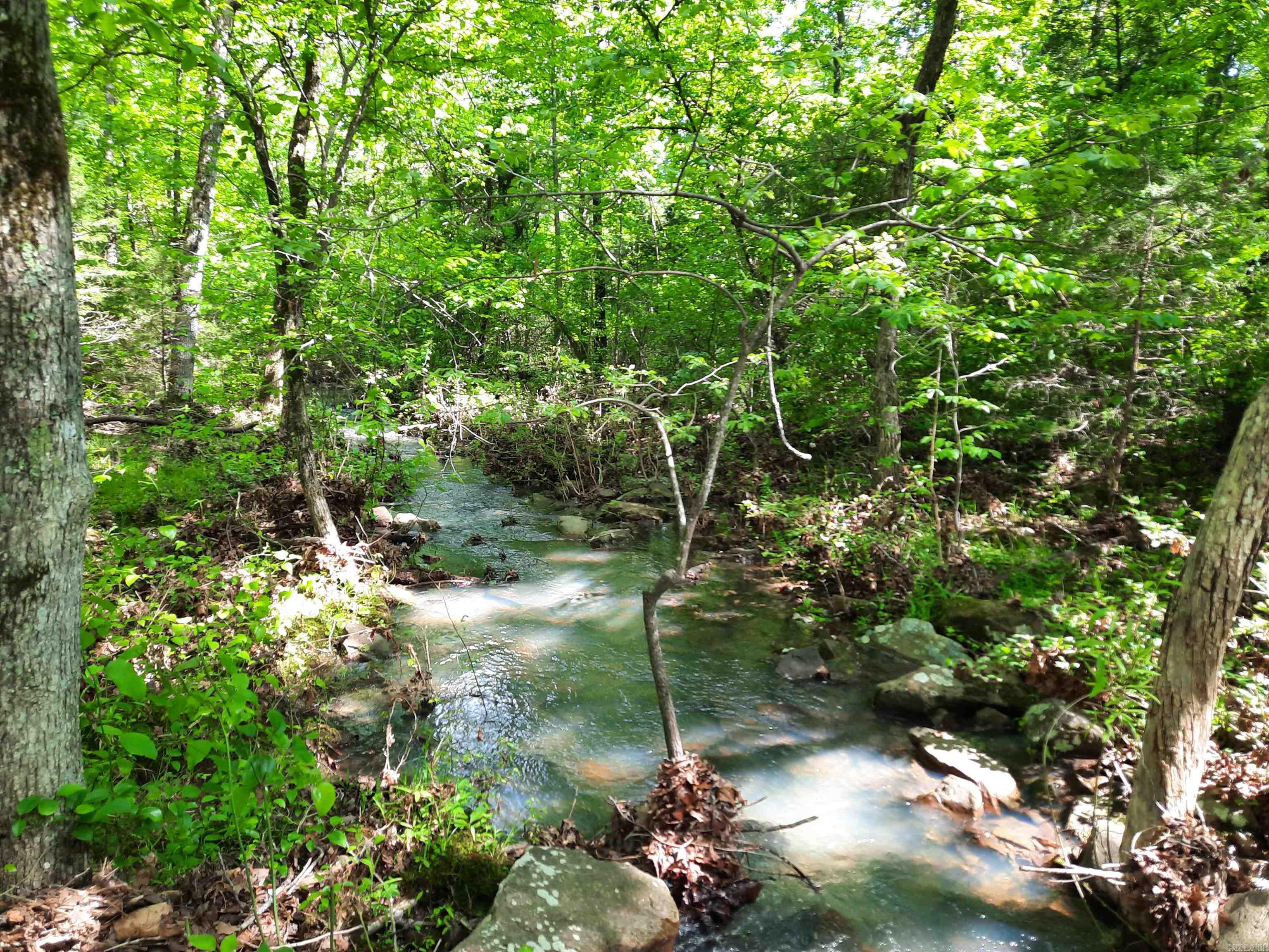 Flat Rock Property Photo 8